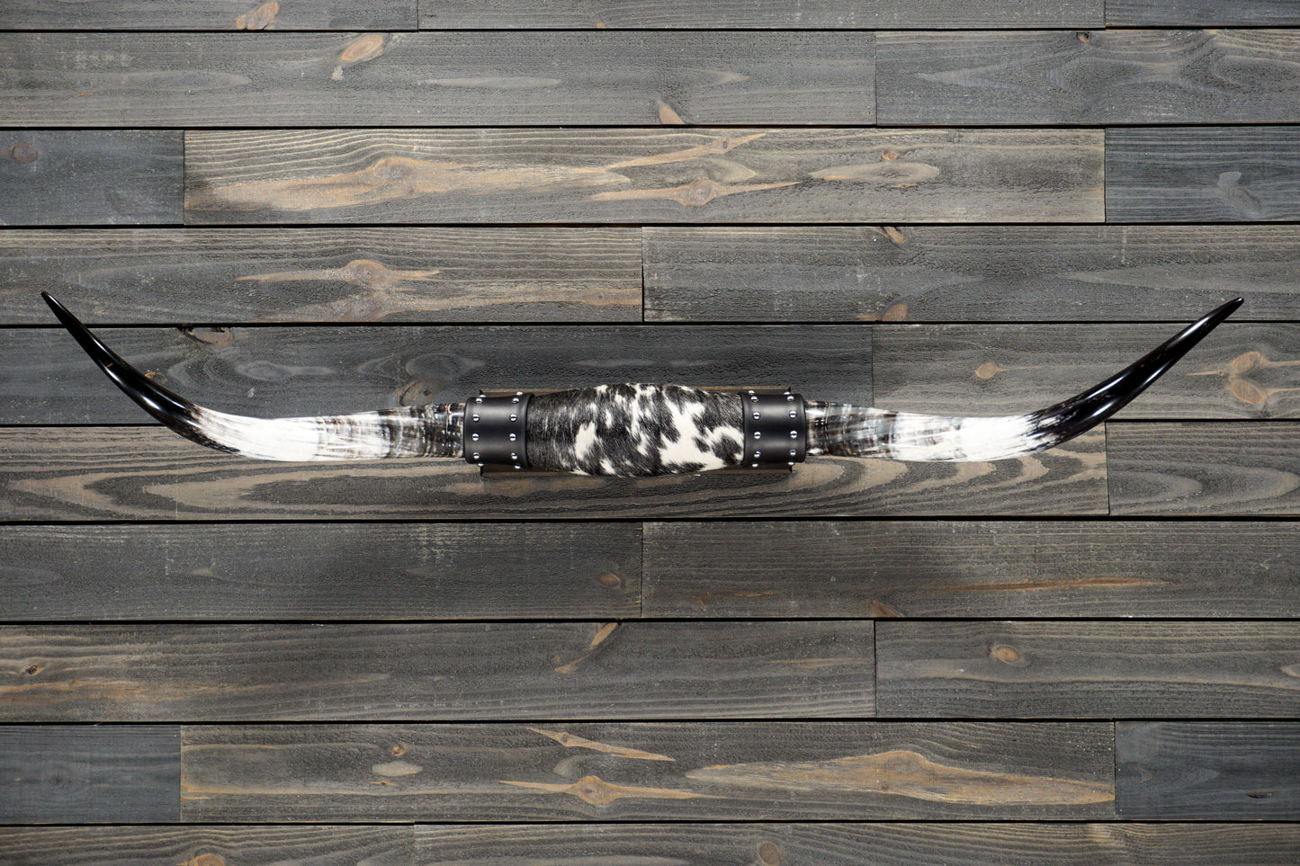 4' 9" Longhorn Wall Mount #274