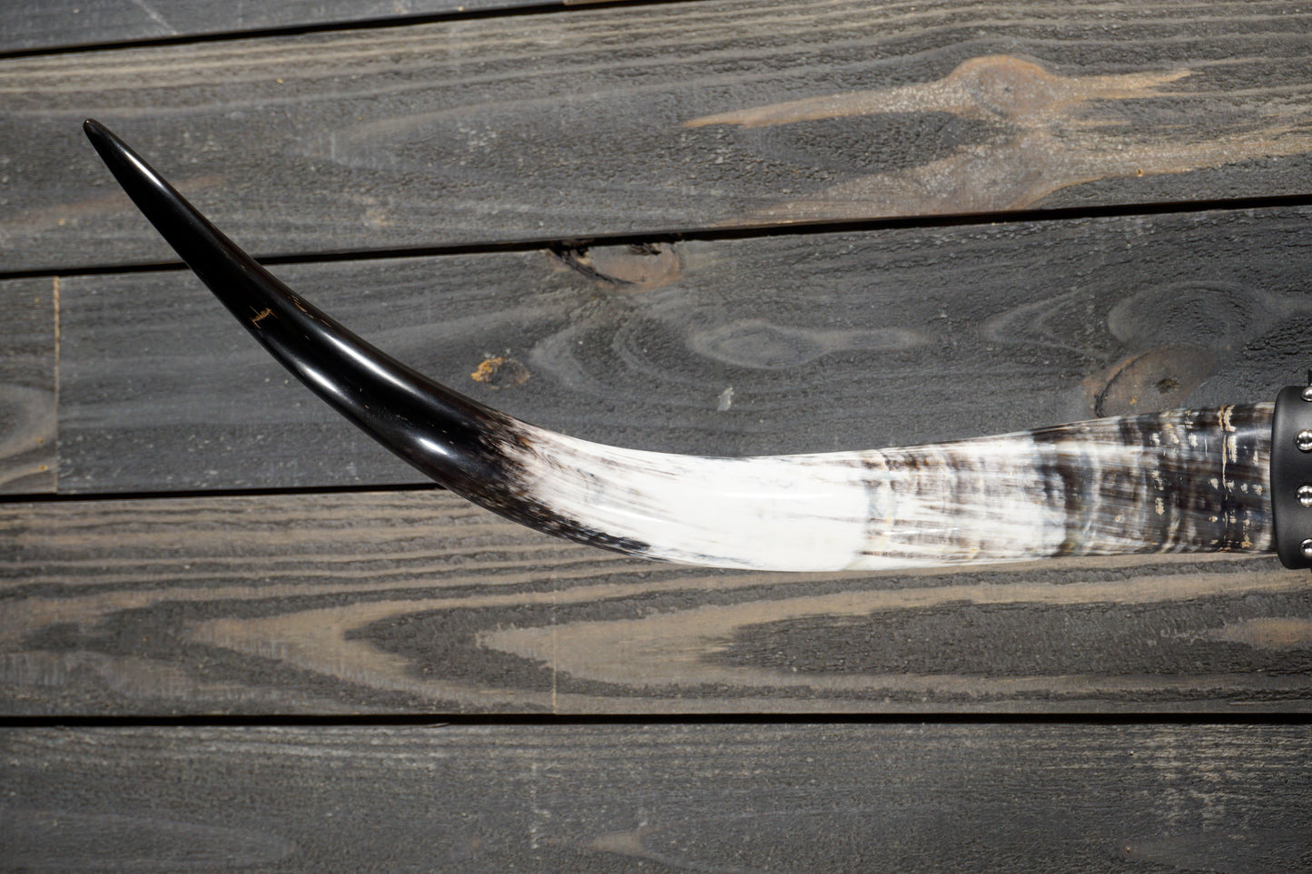 4' 9" Longhorn Wall Mount #274