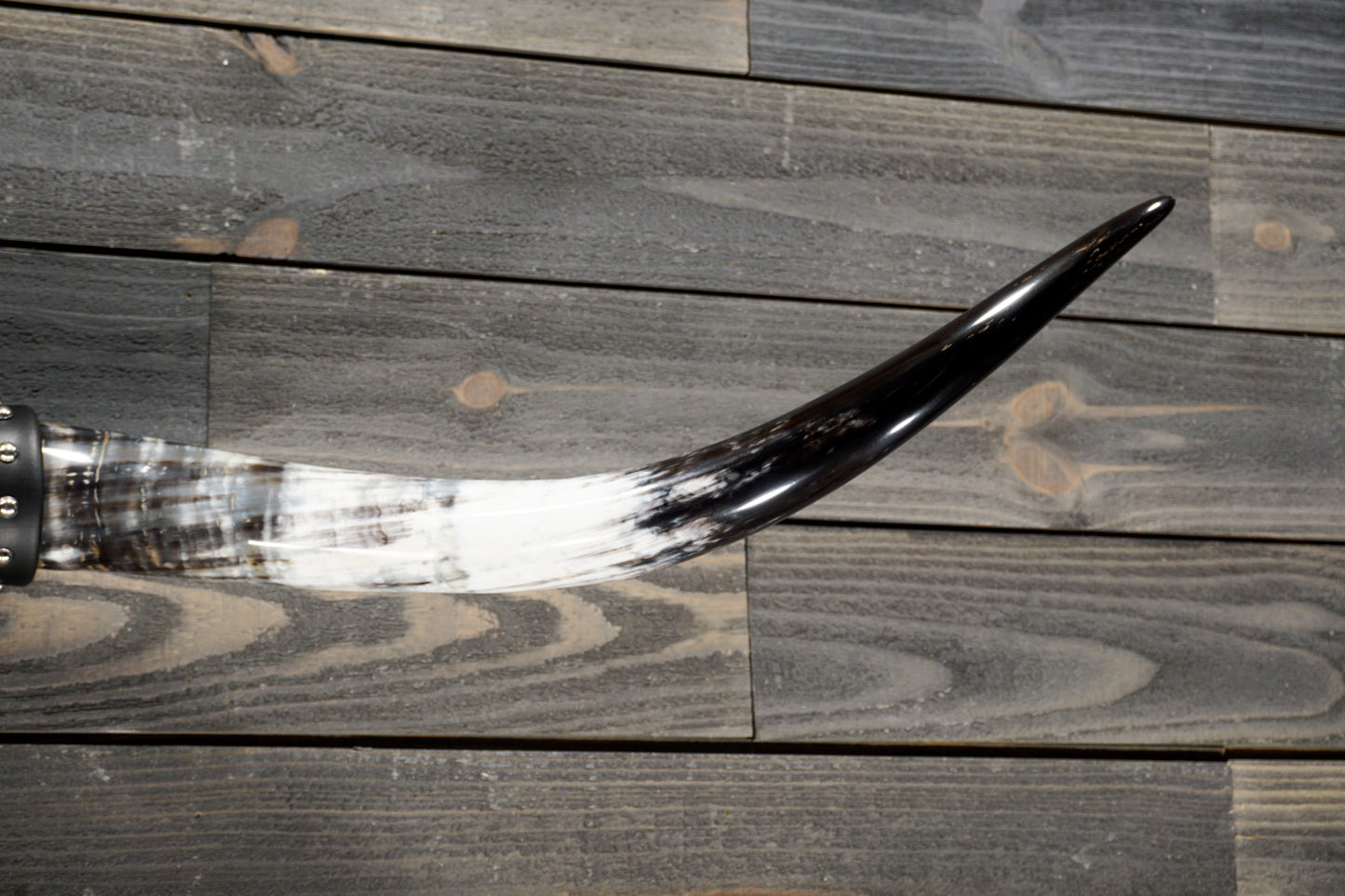 4' 9" Longhorn Wall Mount #274