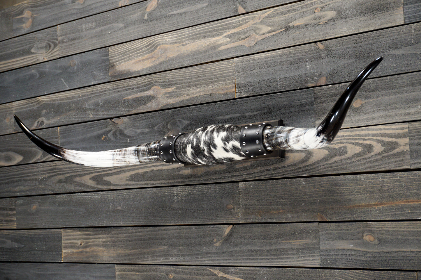 4' 9" Longhorn Wall Mount #274