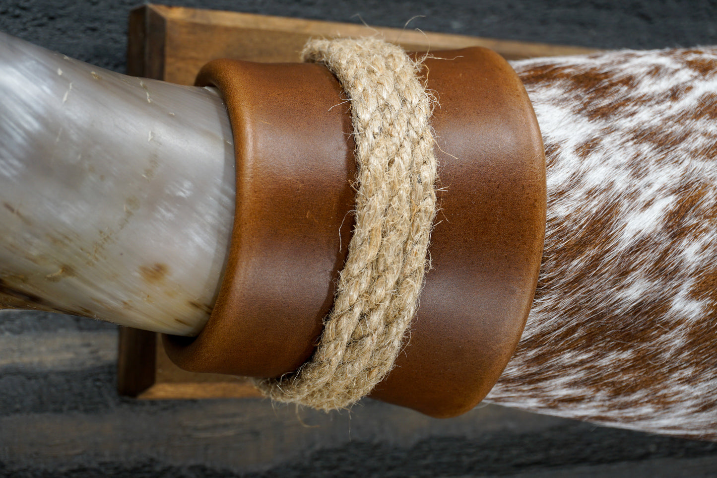 5' 6" Longhorn Wall Mount #272