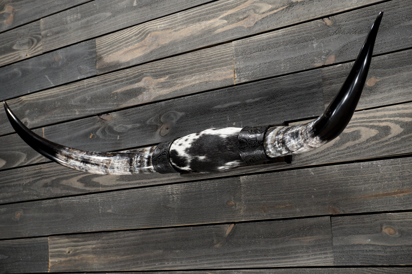 4' 5" Longhorn Wall Mount #354
