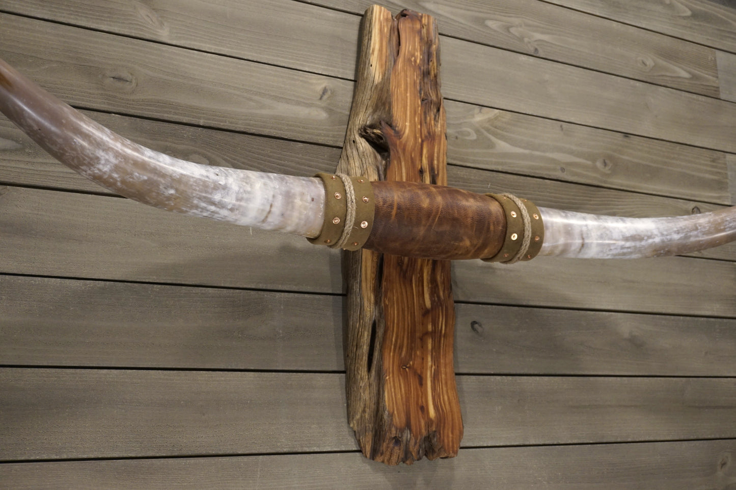 5' 9" Longhorn Wall Mount #244