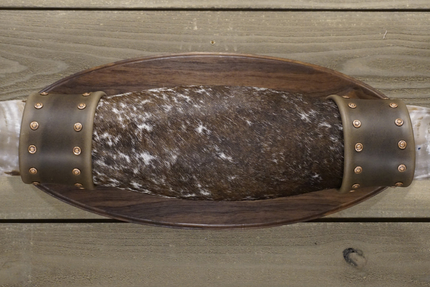 5' 8" Longhorn Wall Mount #243