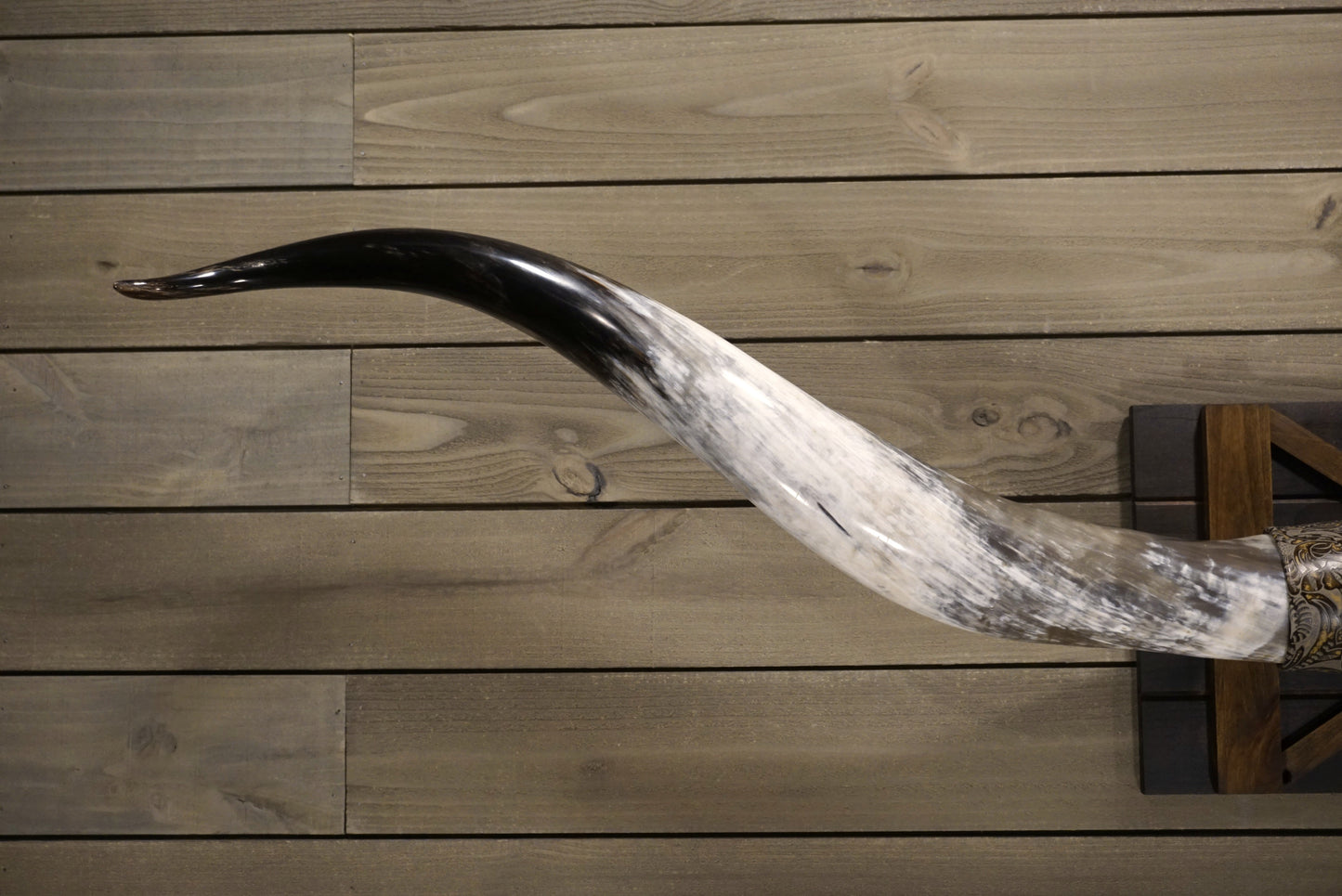 7' 0" Longhorn Wall Mount #245