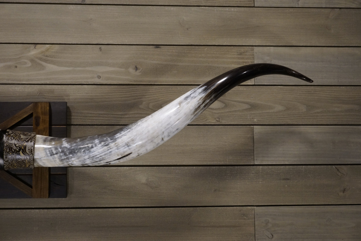 7' 0" Longhorn Wall Mount #245