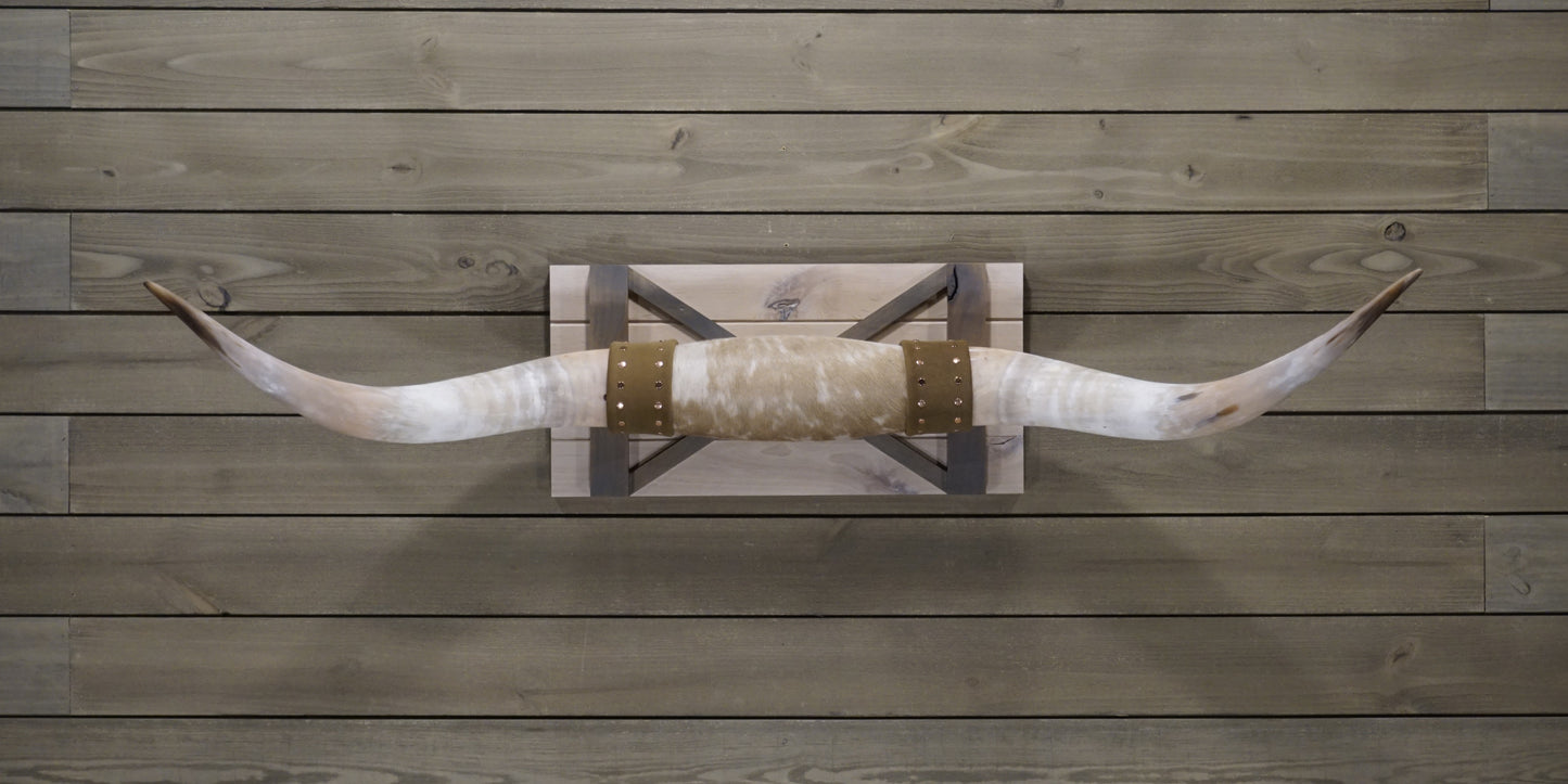 4' 9" Longhorn Wall Mount #247
