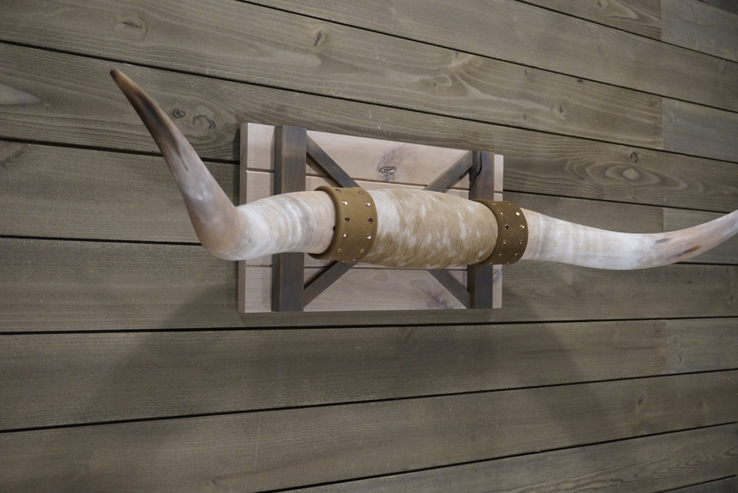 4' 9" Longhorn Wall Mount #247