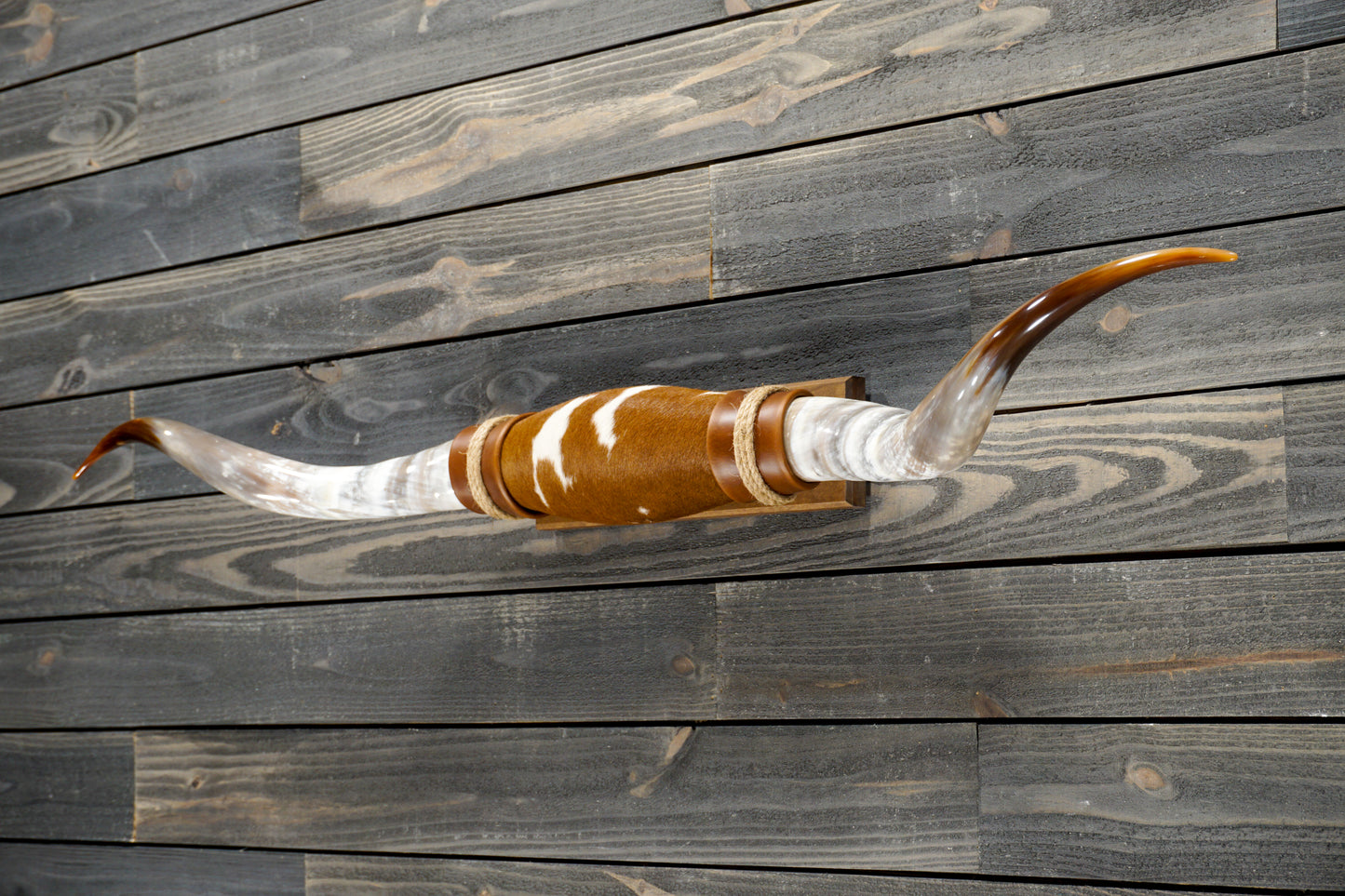 4' 10" Longhorn Wall Mount #278