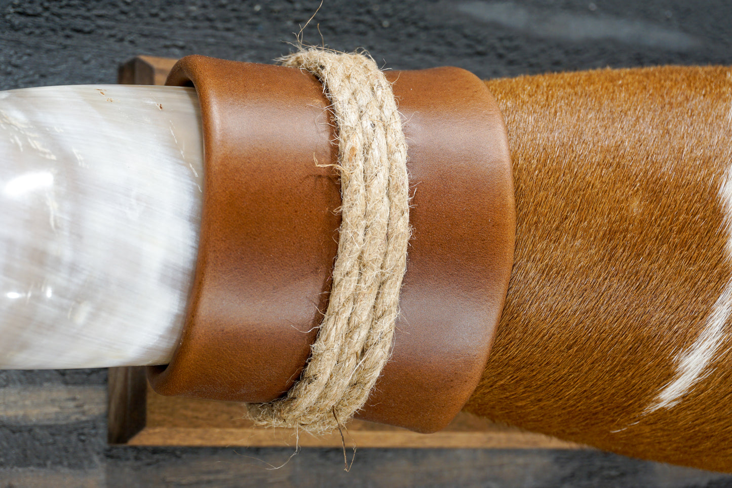 4' 10" Longhorn Wall Mount #278