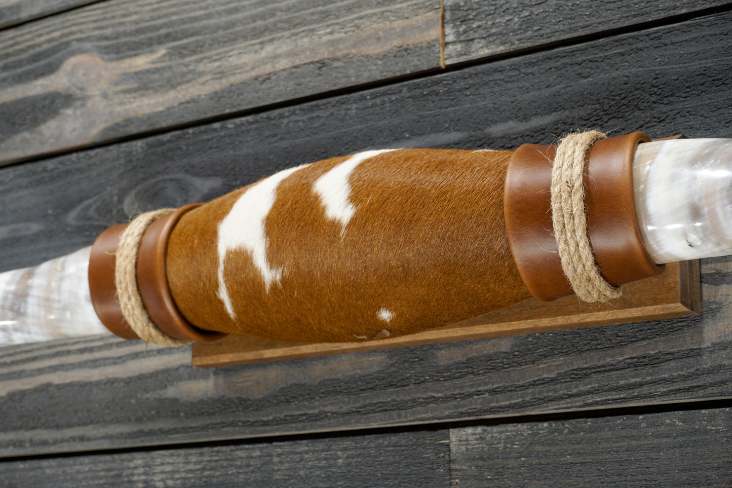 4' 10" Longhorn Wall Mount #278