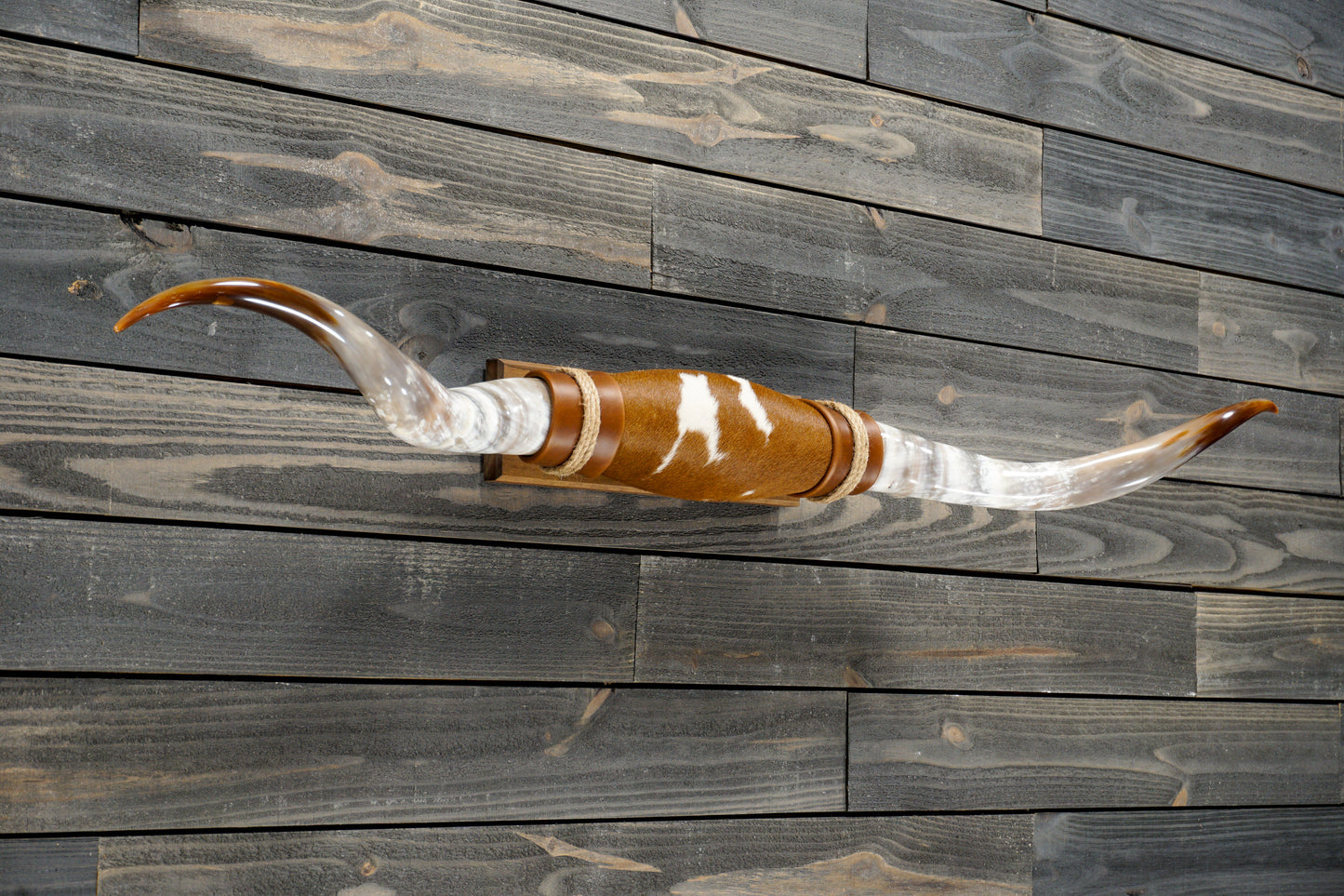 4' 10" Longhorn Wall Mount #278
