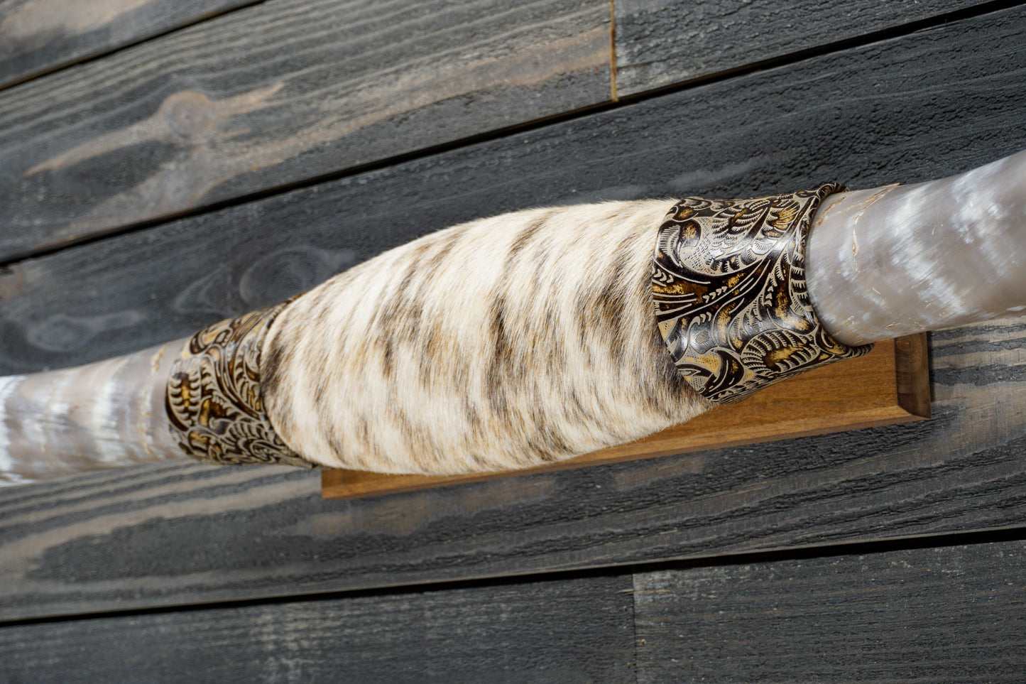 5' 0" Longhorn Wall Mount #284