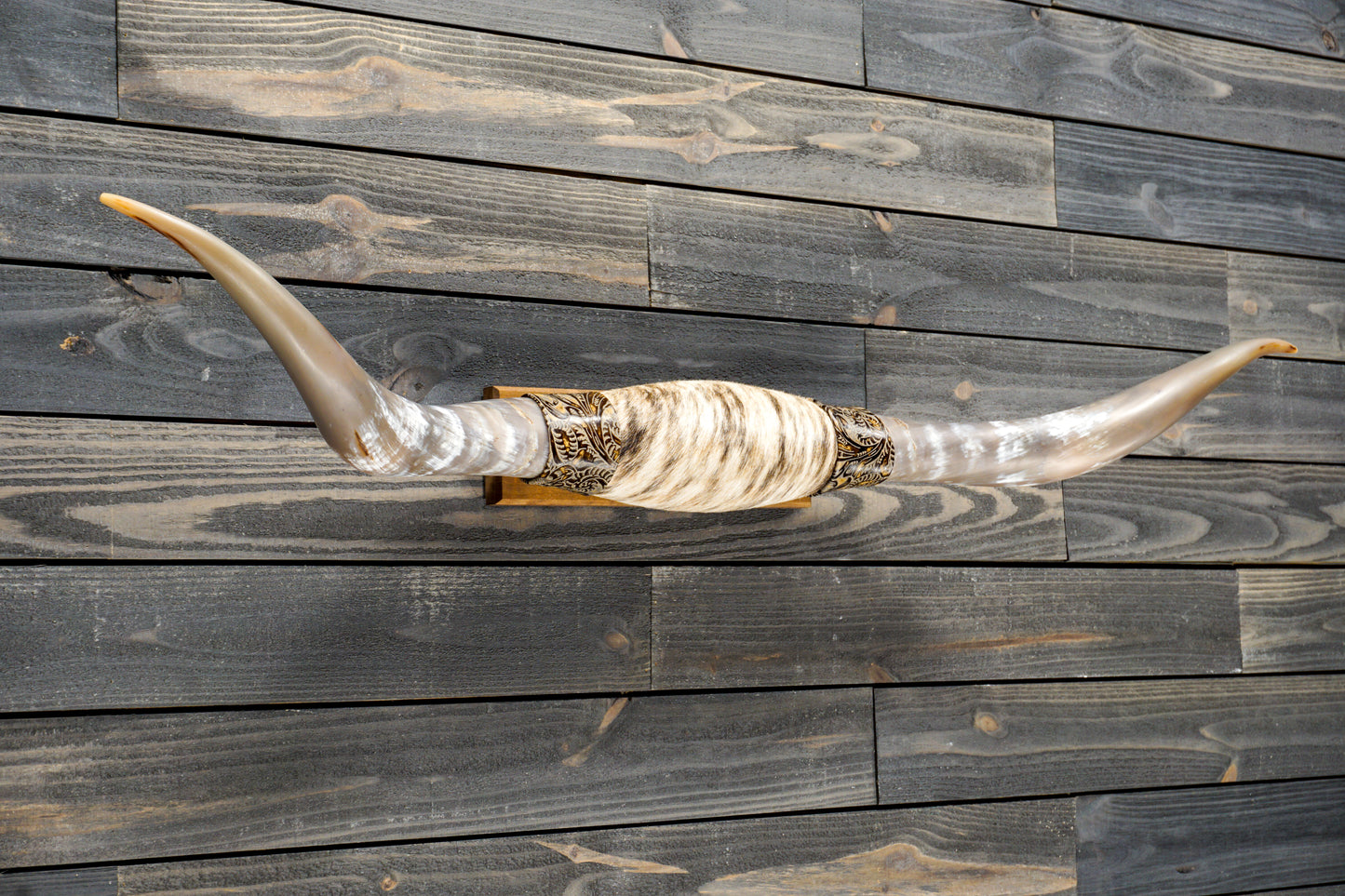 5' 0" Longhorn Wall Mount #284