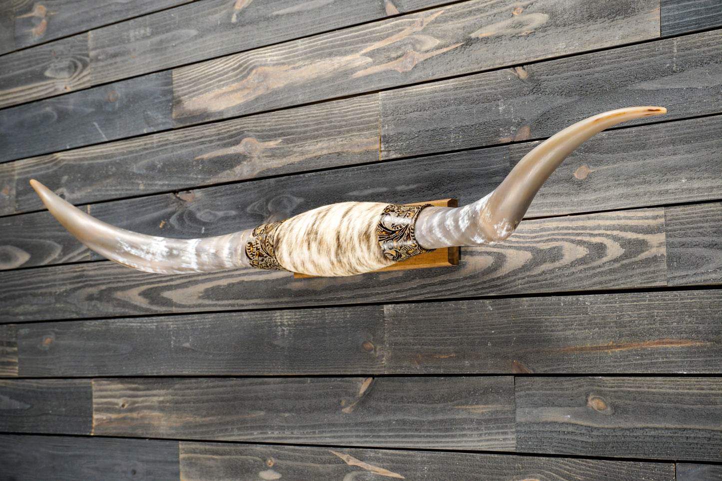 5' 0" Longhorn Wall Mount #284