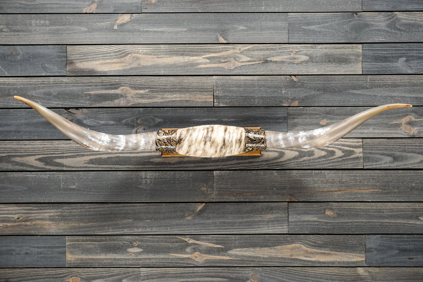 5' 0" Longhorn Wall Mount #284