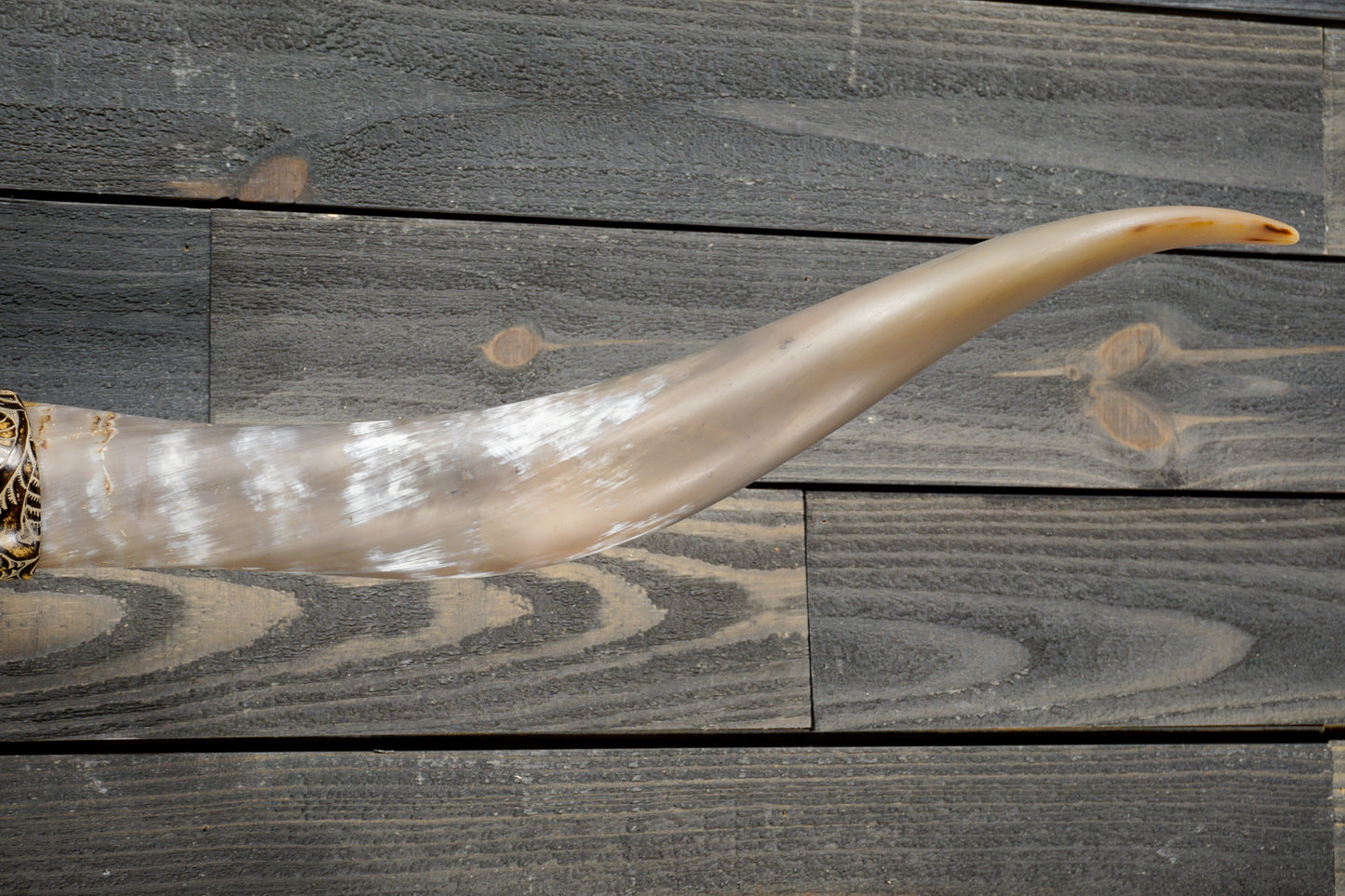 5' 0" Longhorn Wall Mount #284