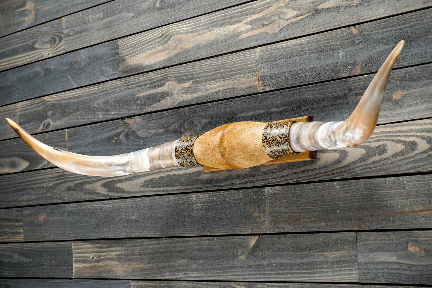 4' 7" Longhorn Wall Mount #290