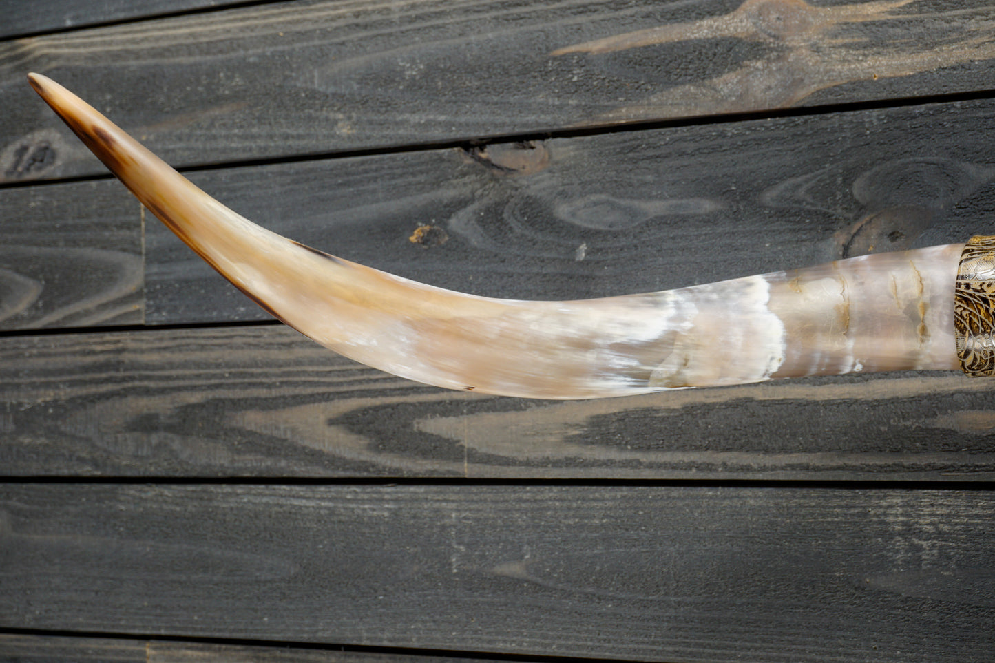 4' 7" Longhorn Wall Mount #290