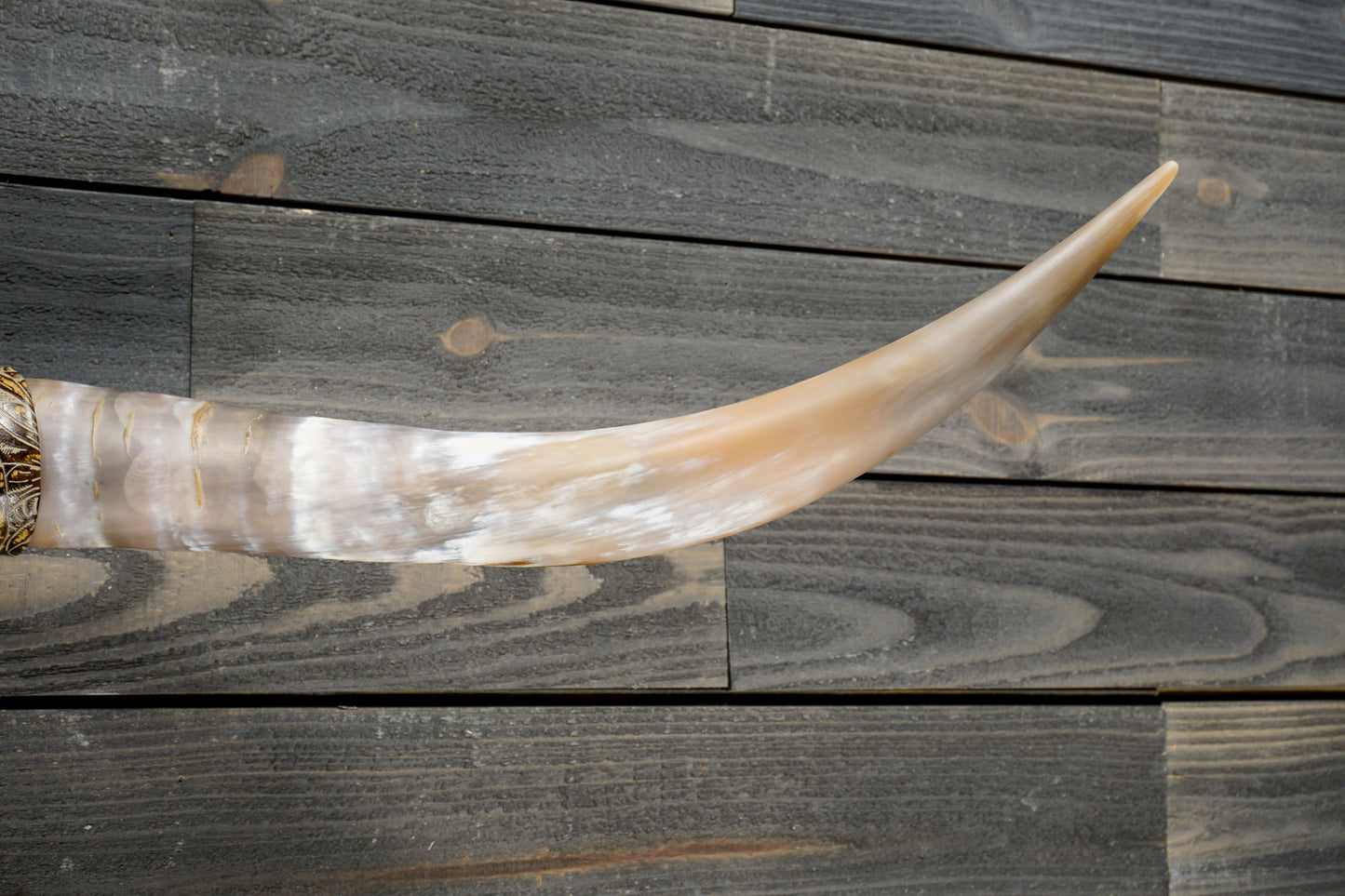 4' 7" Longhorn Wall Mount #290