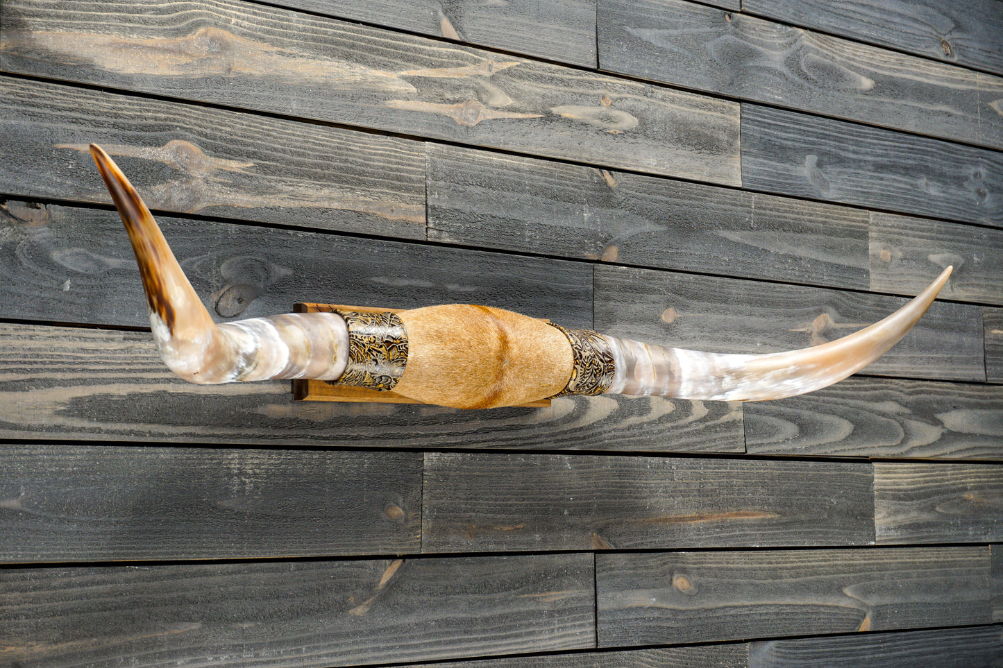 4' 7" Longhorn Wall Mount #290