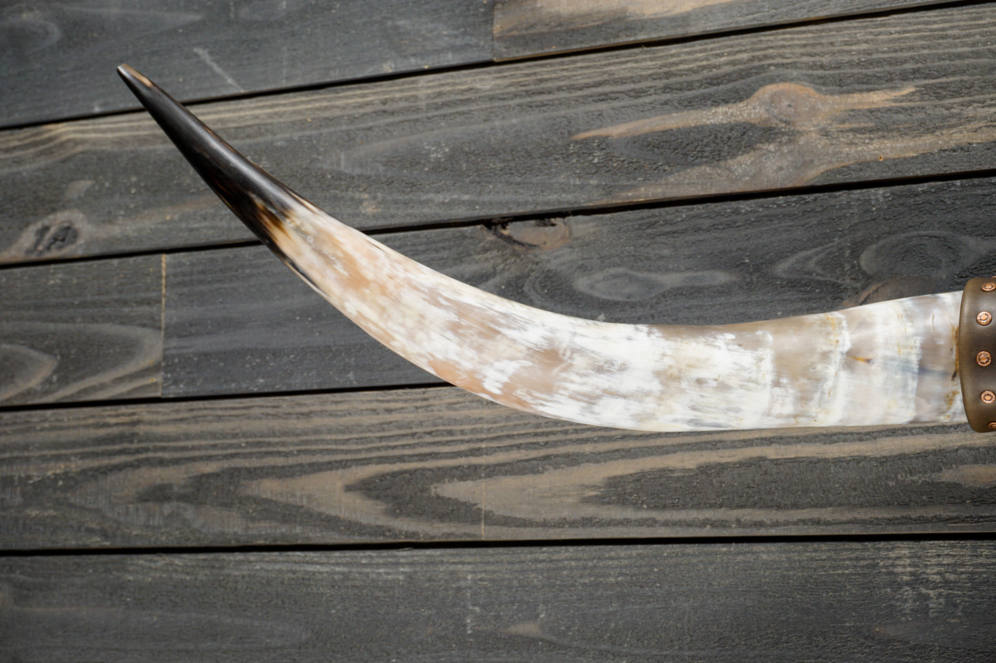 4' 8" Longhorn Wall Mount #291