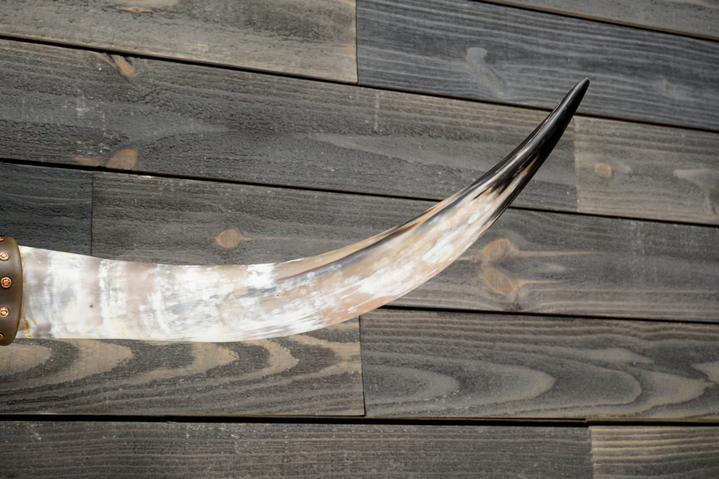 4' 8" Longhorn Wall Mount #291