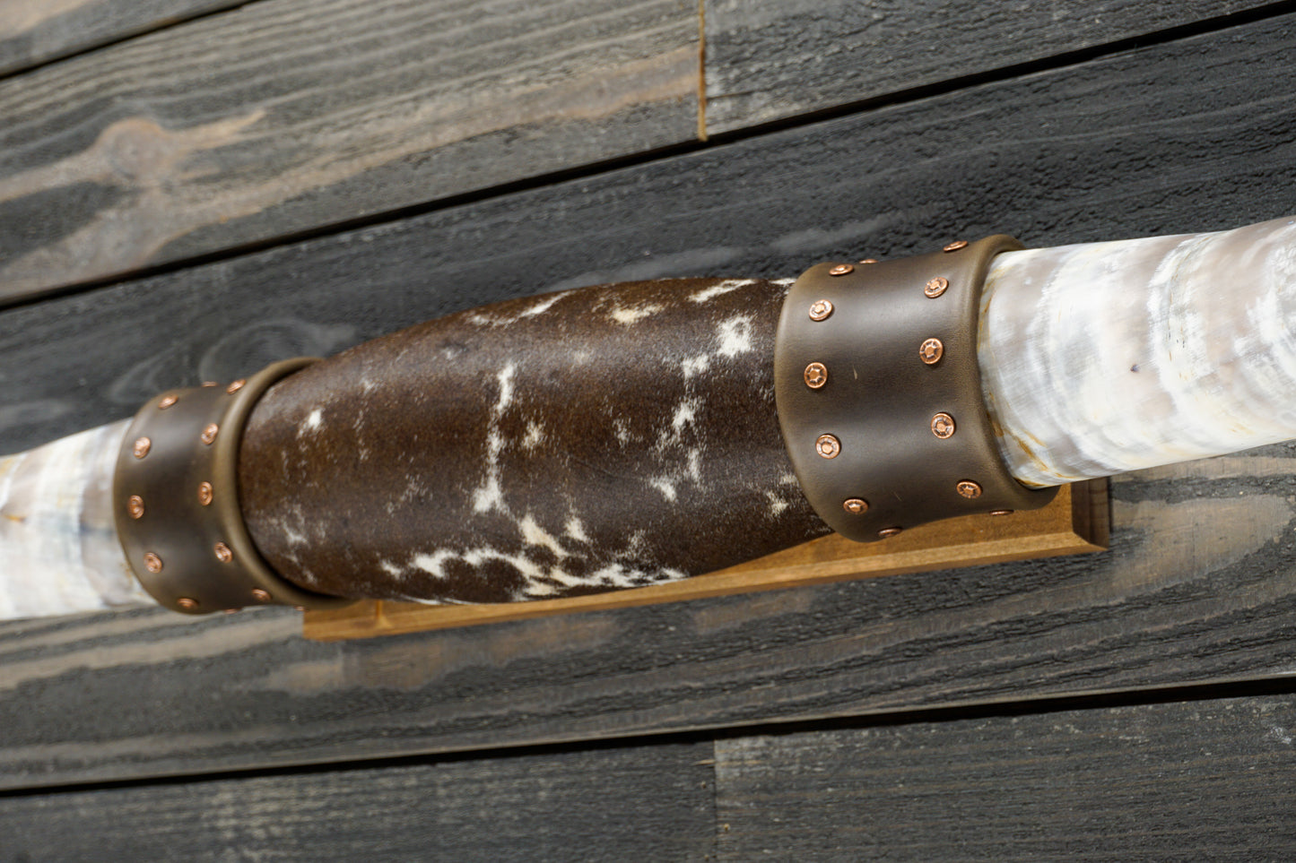 4' 8" Longhorn Wall Mount #291