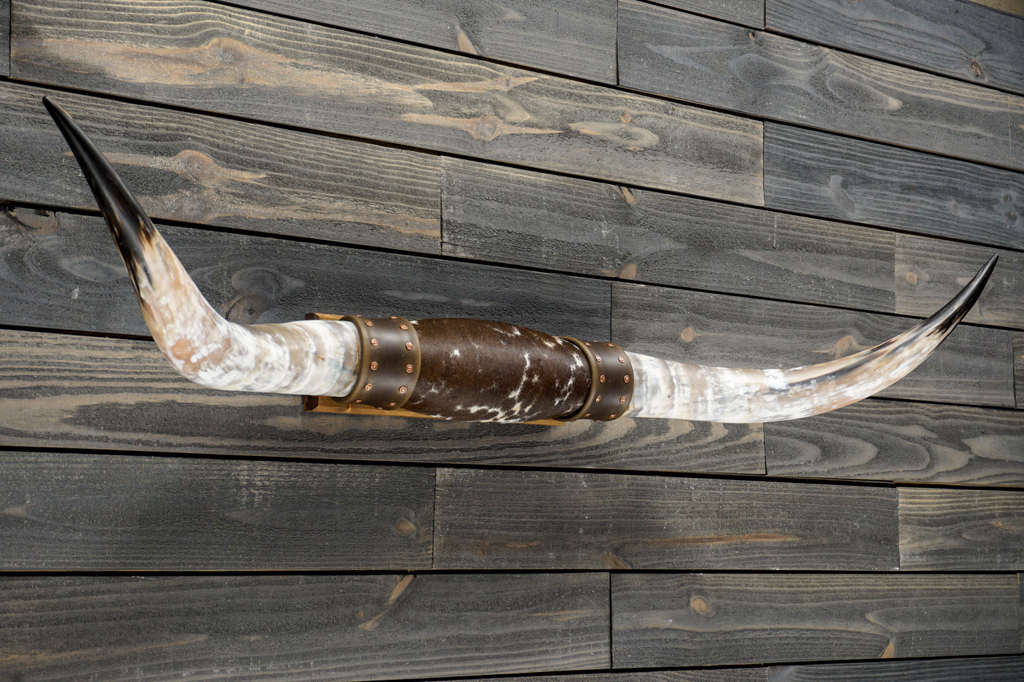 4' 8" Longhorn Wall Mount #291