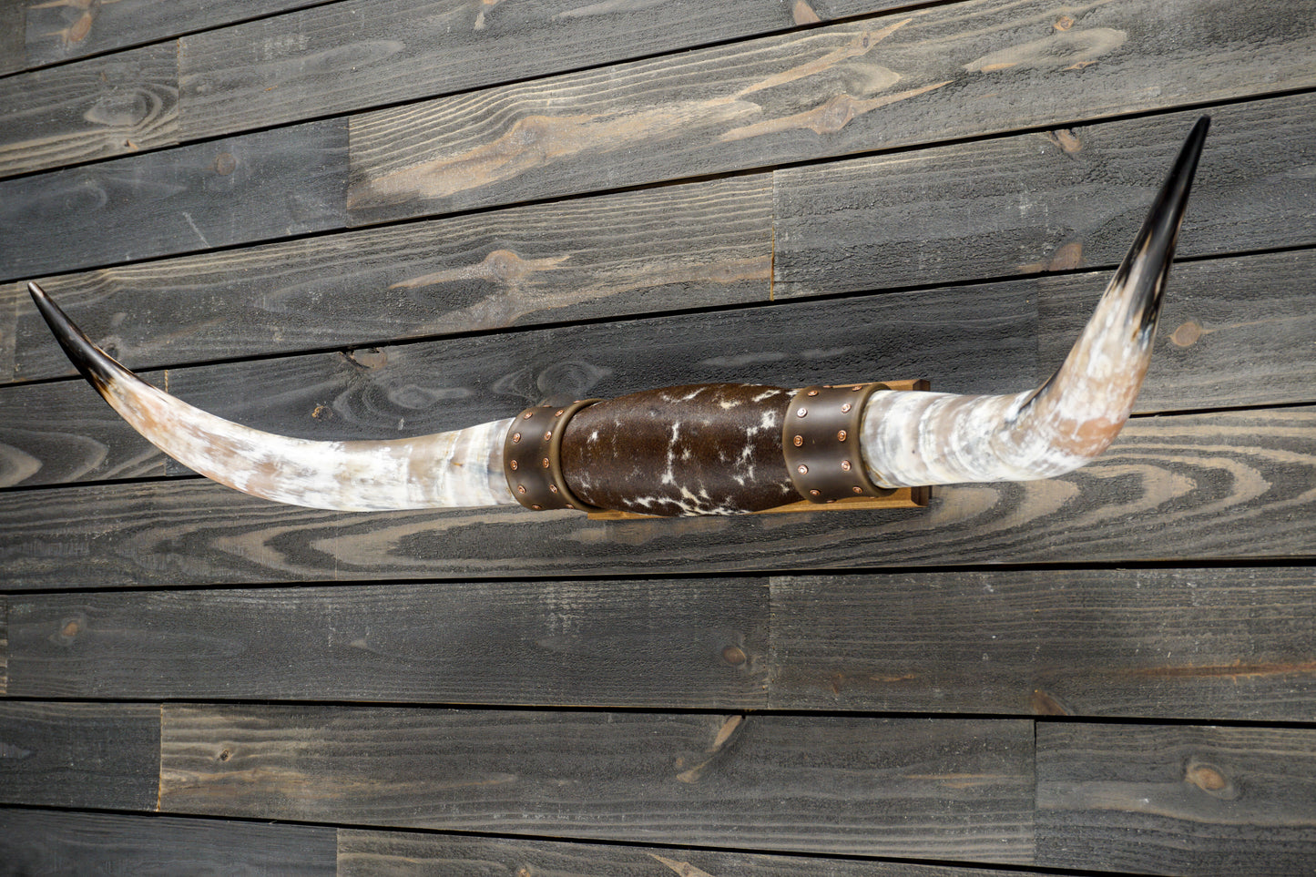 4' 8" Longhorn Wall Mount #291