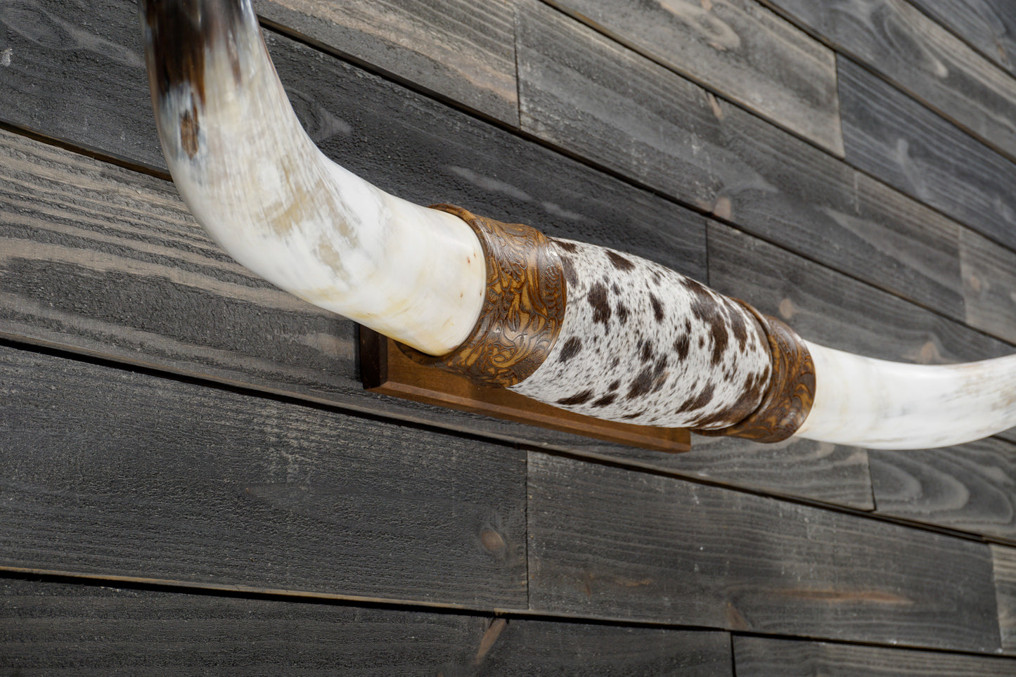 5' 2" Longhorn Wall Mount #329