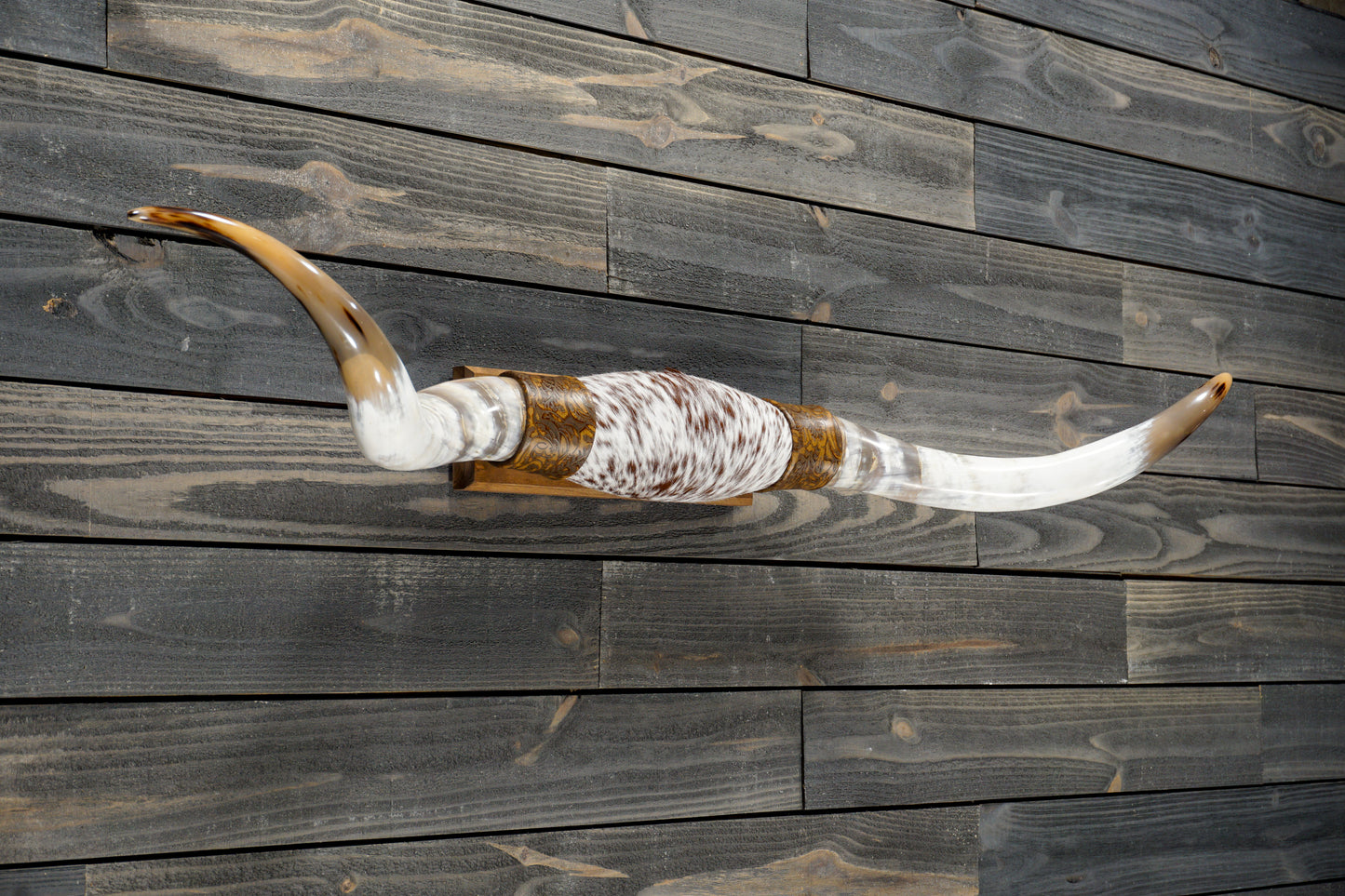 5' 0" Longhorn Wall Mount #269