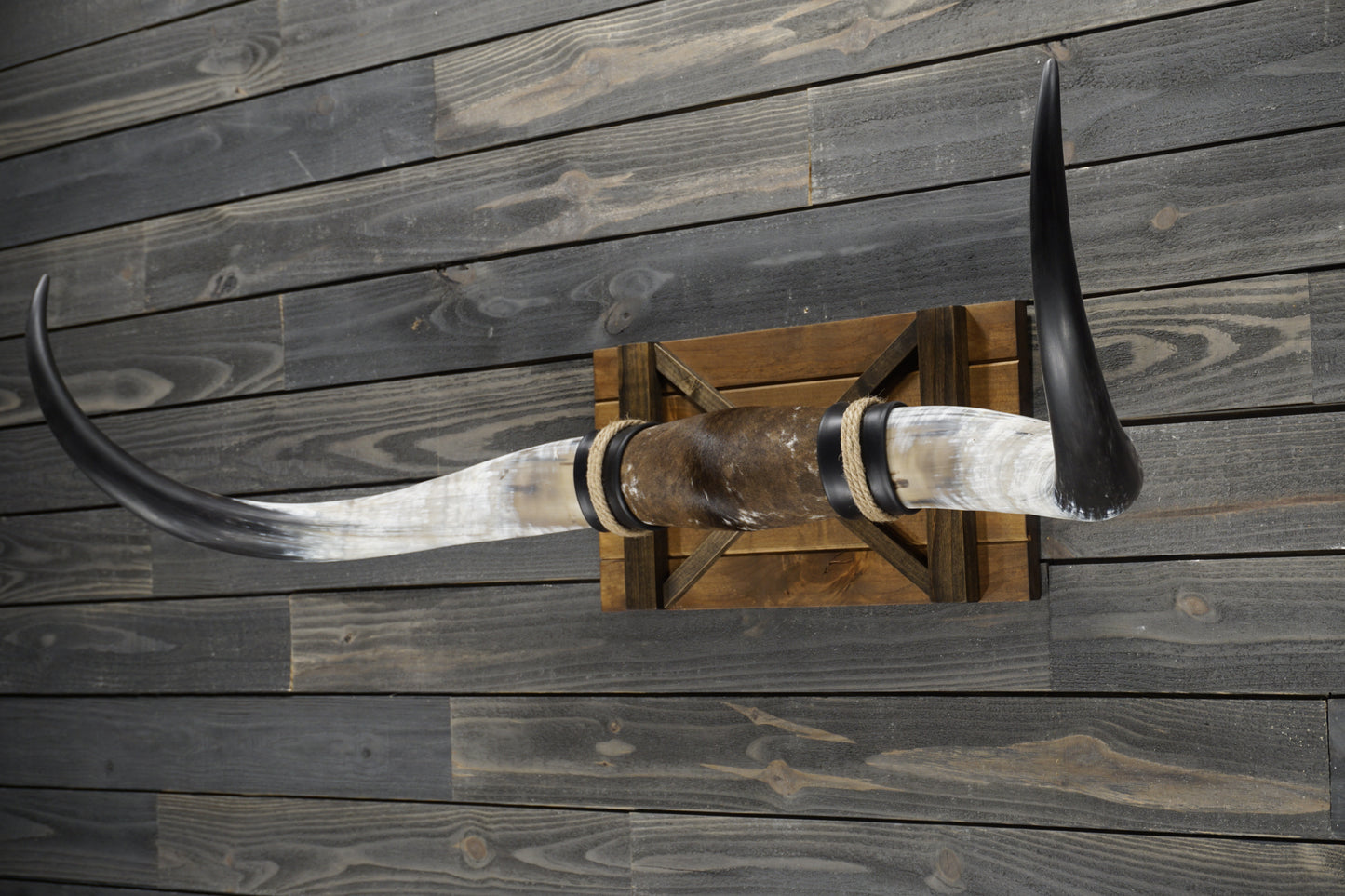 5' 0" Longhorn Wall Mount #357