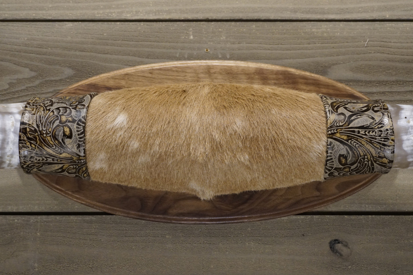4' 8" Longhorn Wall Mount #242