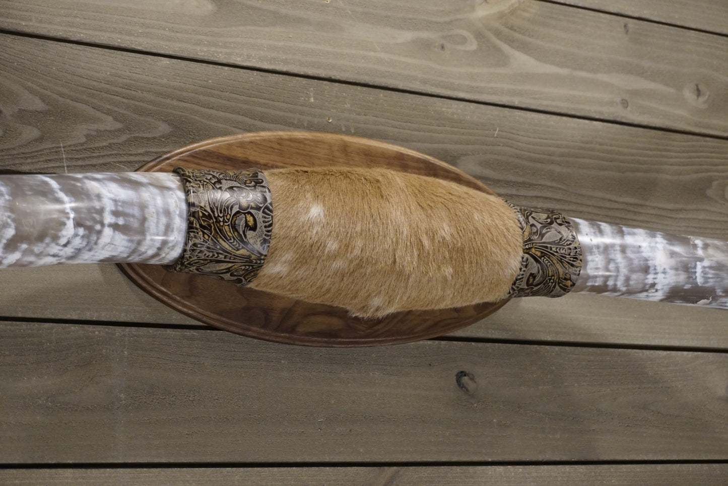 4' 8" Longhorn Wall Mount #242