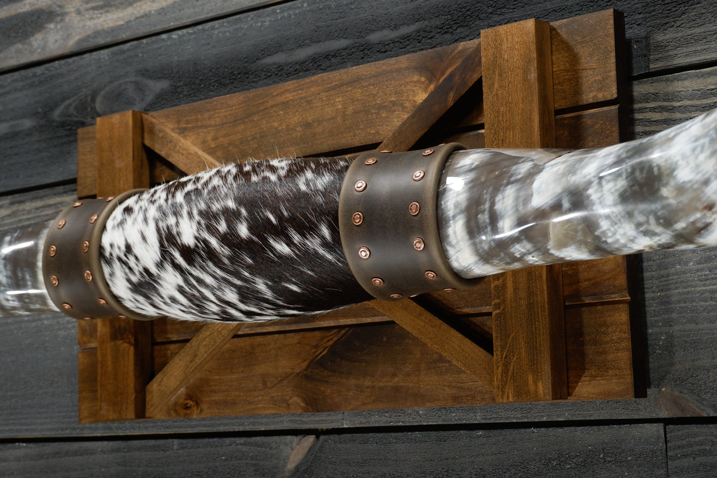 5' 6" Longhorn Wall Mount #261