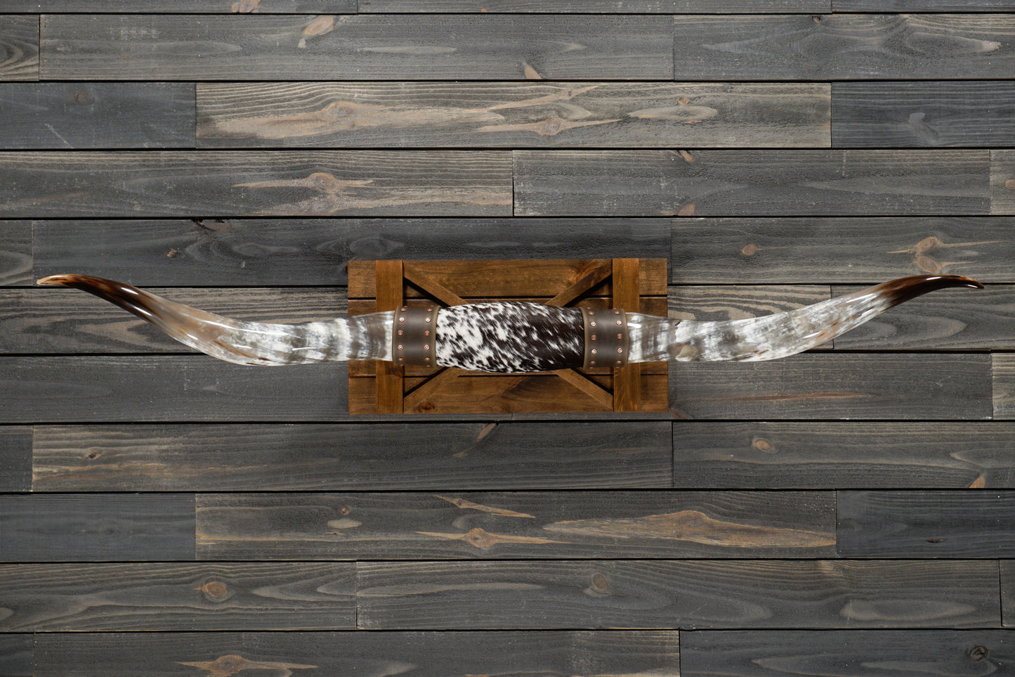 5' 6" Longhorn Wall Mount #261