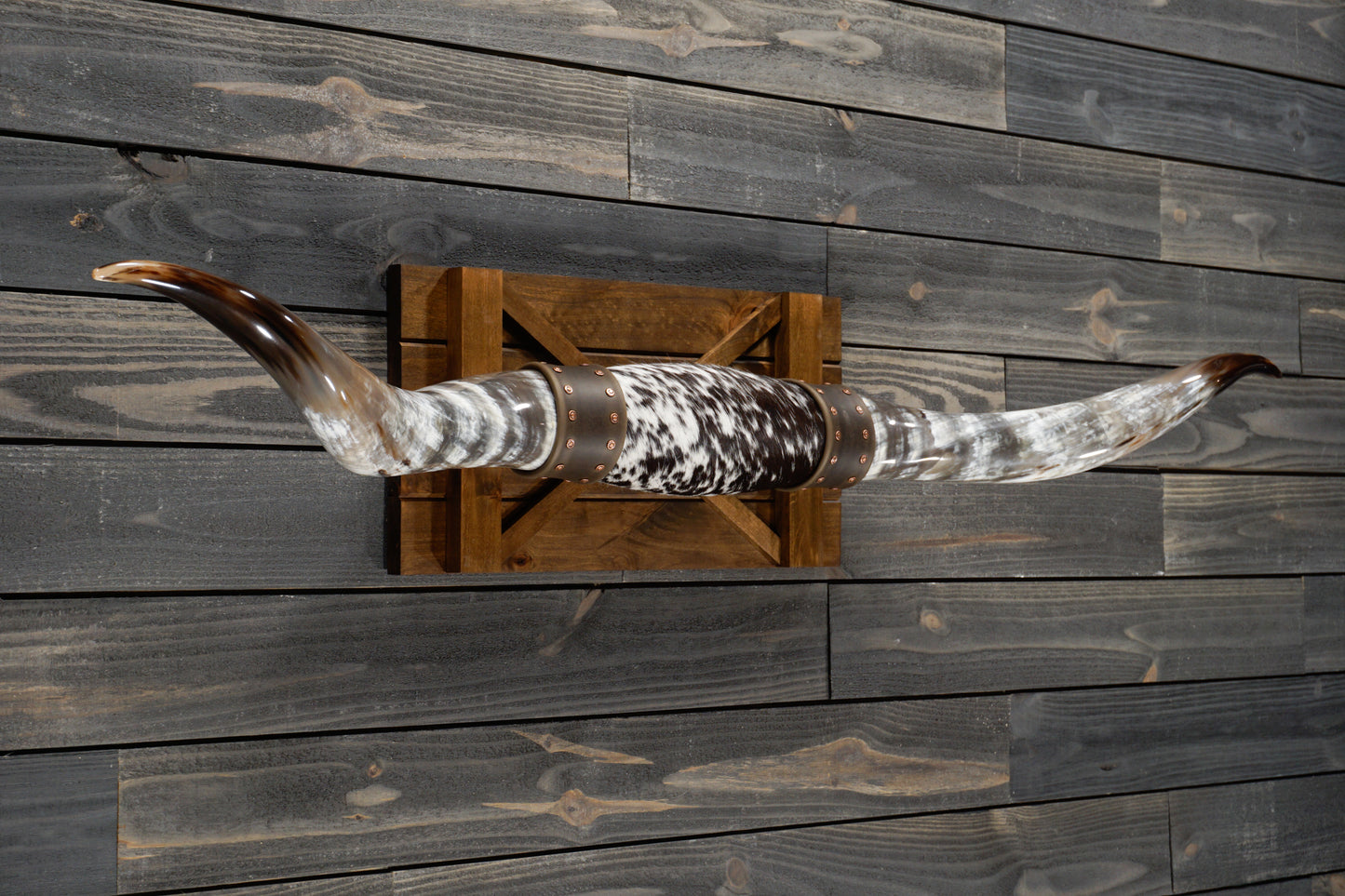 5' 6" Longhorn Wall Mount #261