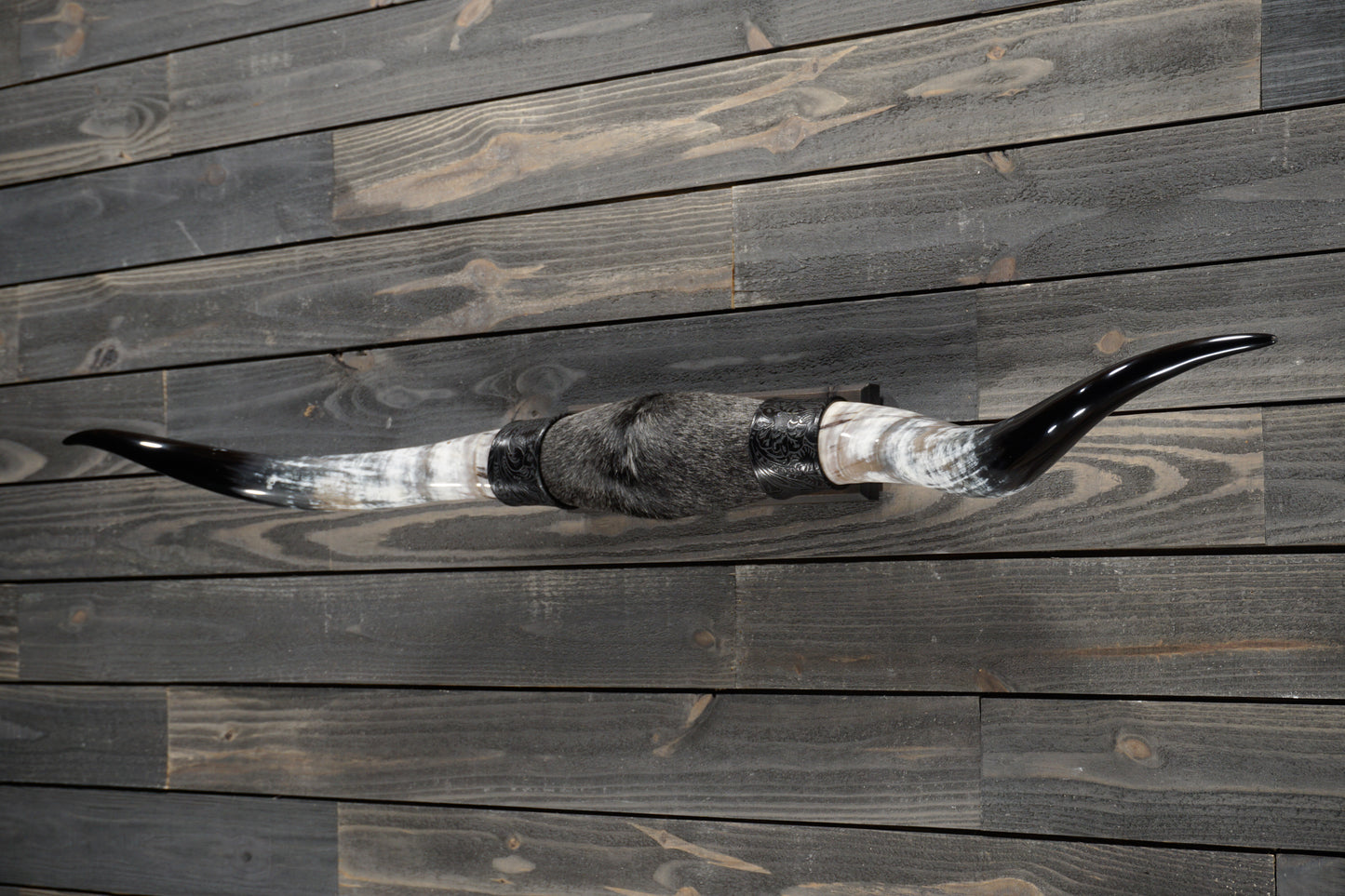 5' 4" Longhorn Wall Mount #268