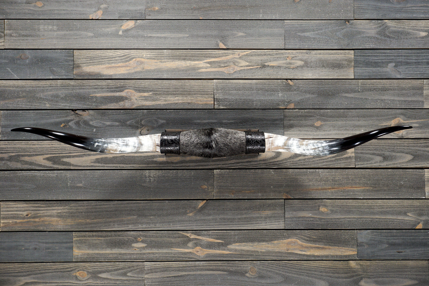 5' 4" Longhorn Wall Mount #268