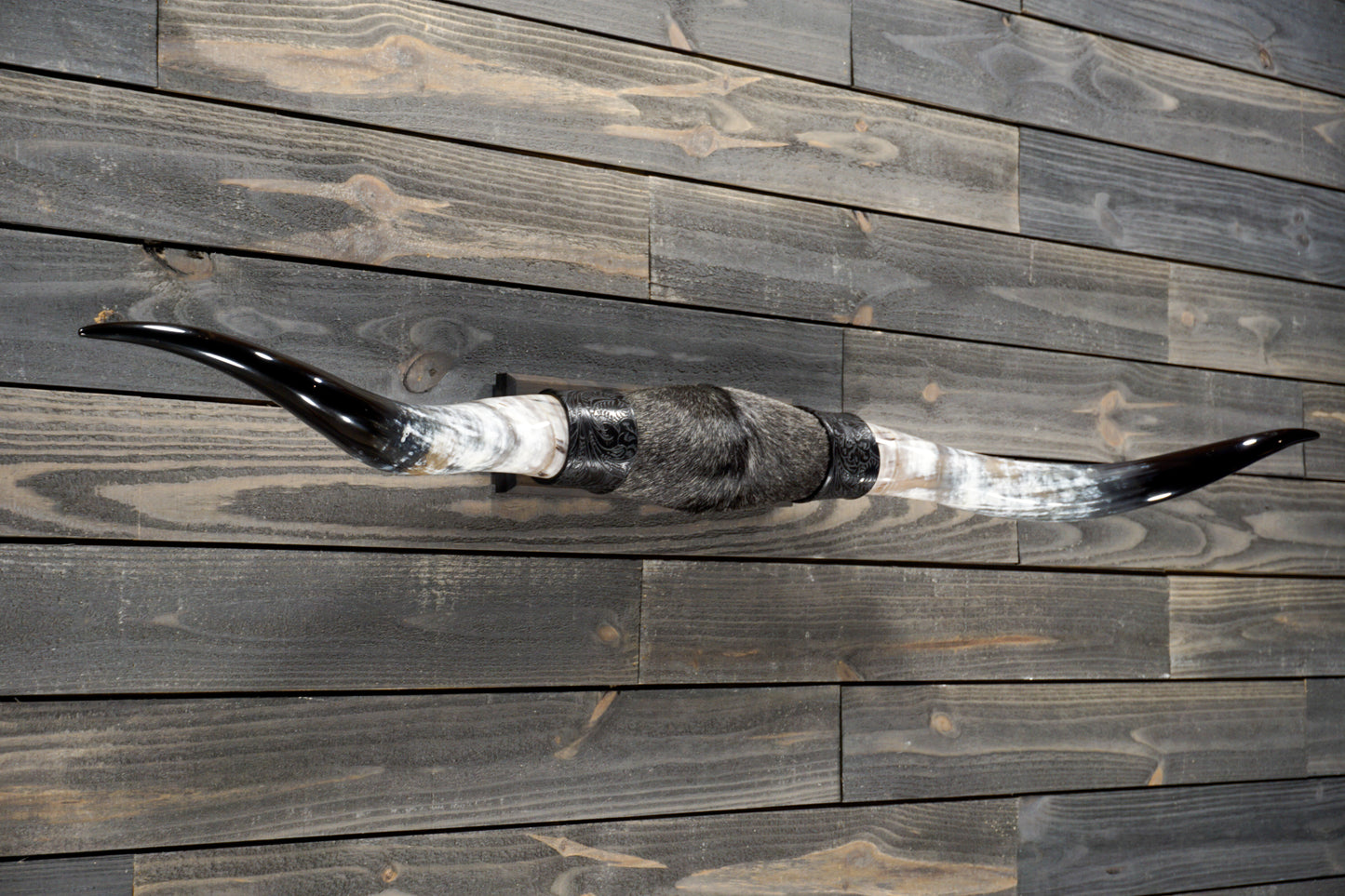 5' 4" Longhorn Wall Mount #268