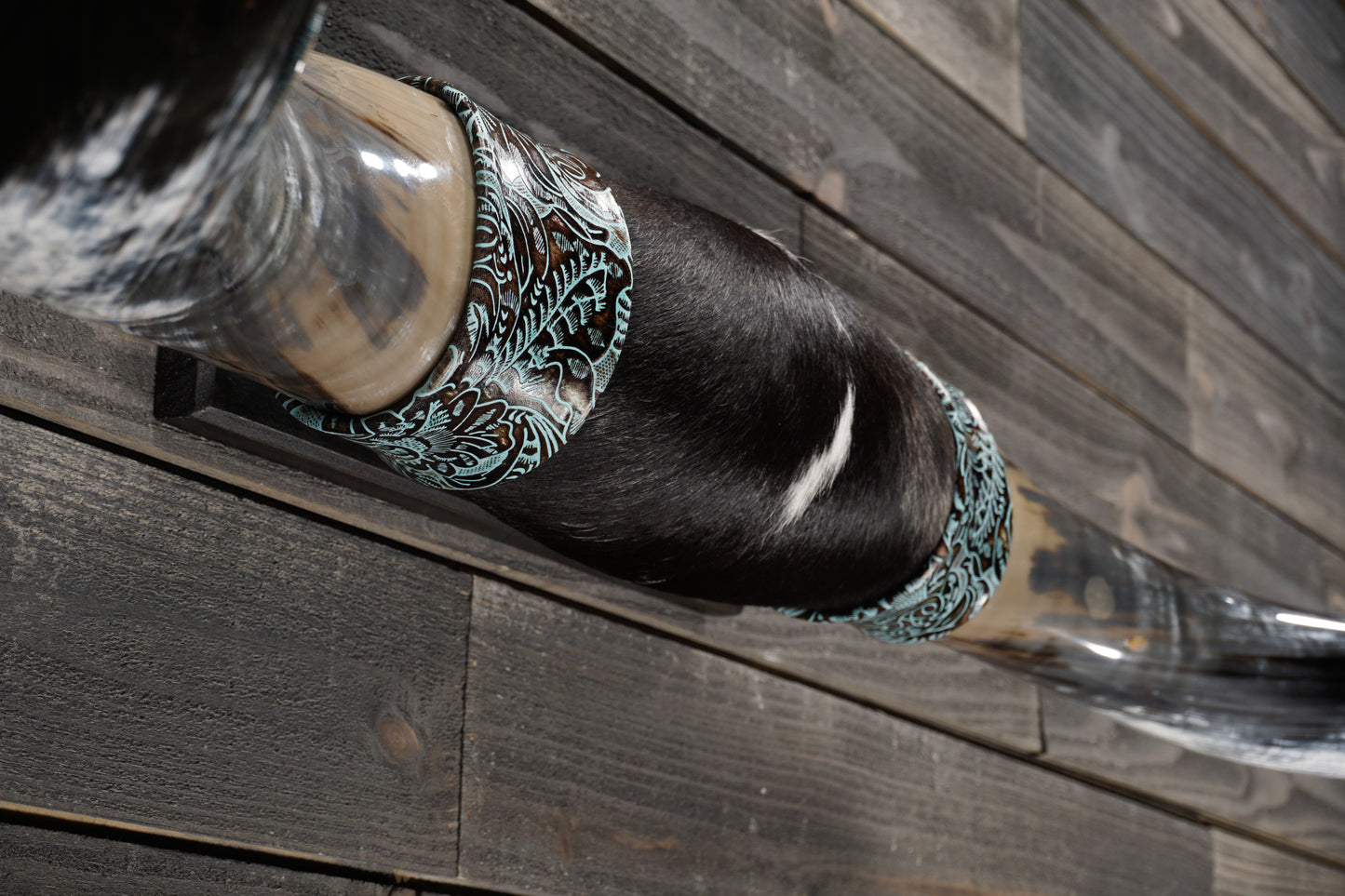 5' 7" Longhorn Wall Mount #362