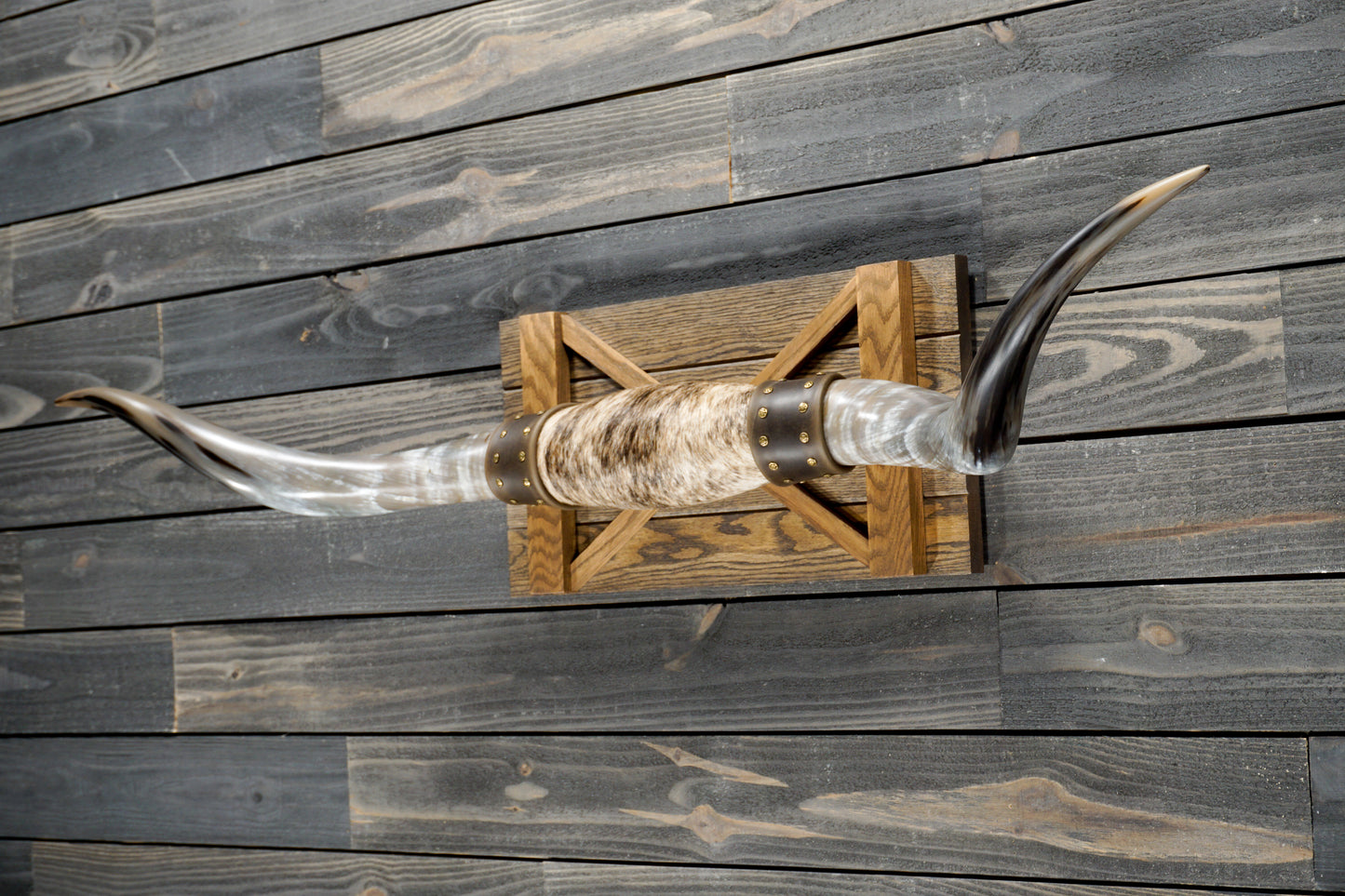 5' 0" Longhorn Wall Mount #268