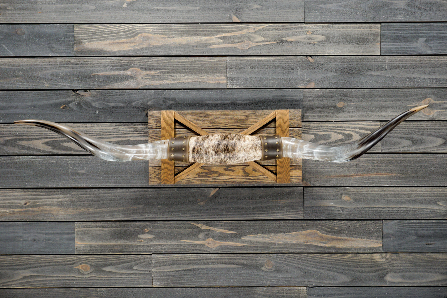 5' 0" Longhorn Wall Mount #268