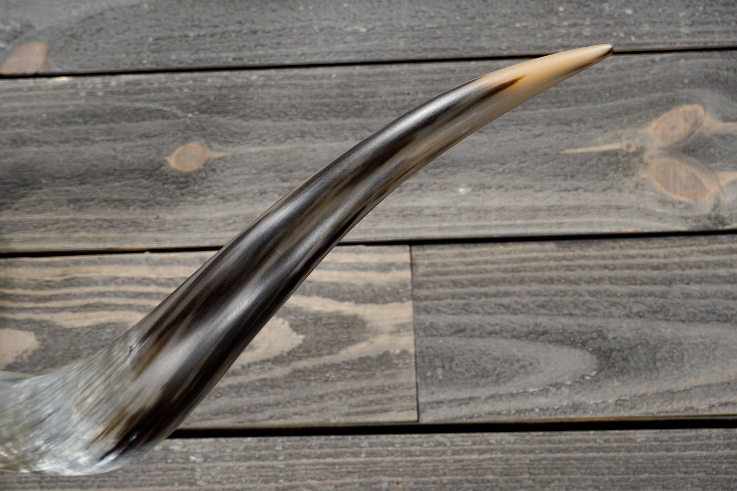 5' 0" Longhorn Wall Mount #268