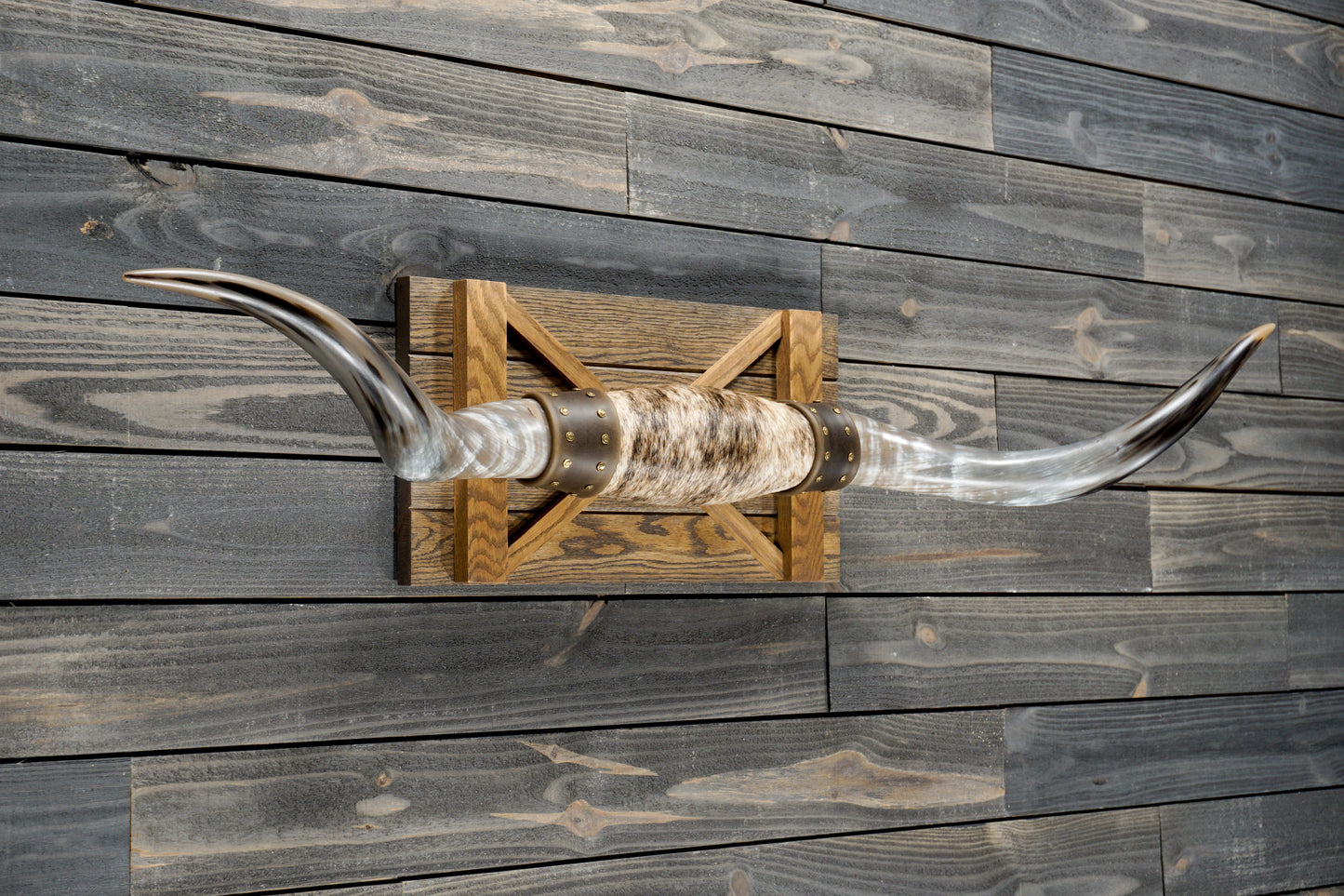 5' 0" Longhorn Wall Mount #268