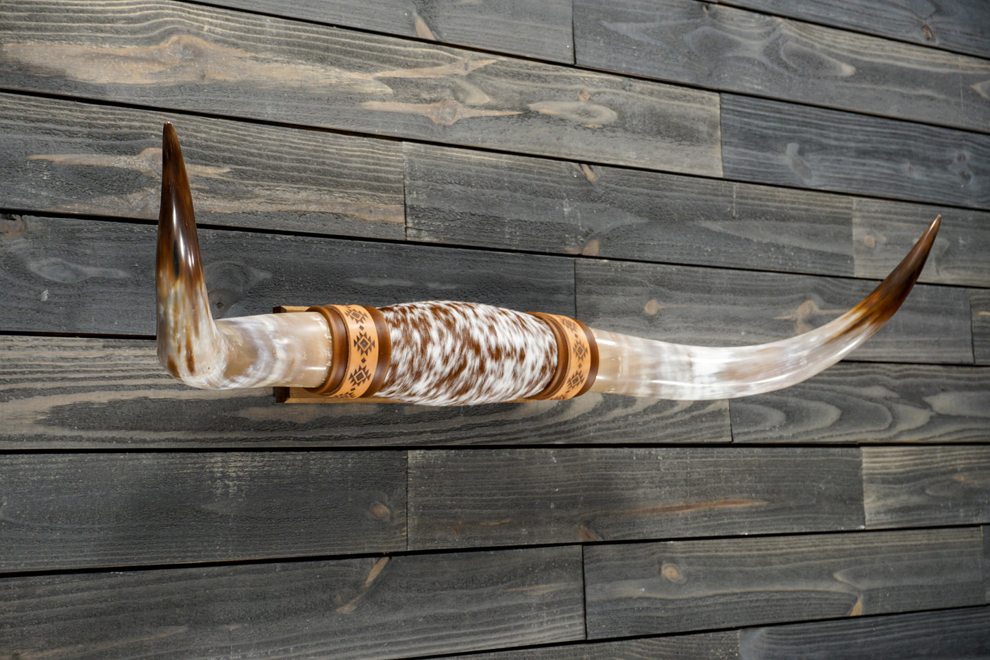 4' 2" Longhorn Wall Mount #285