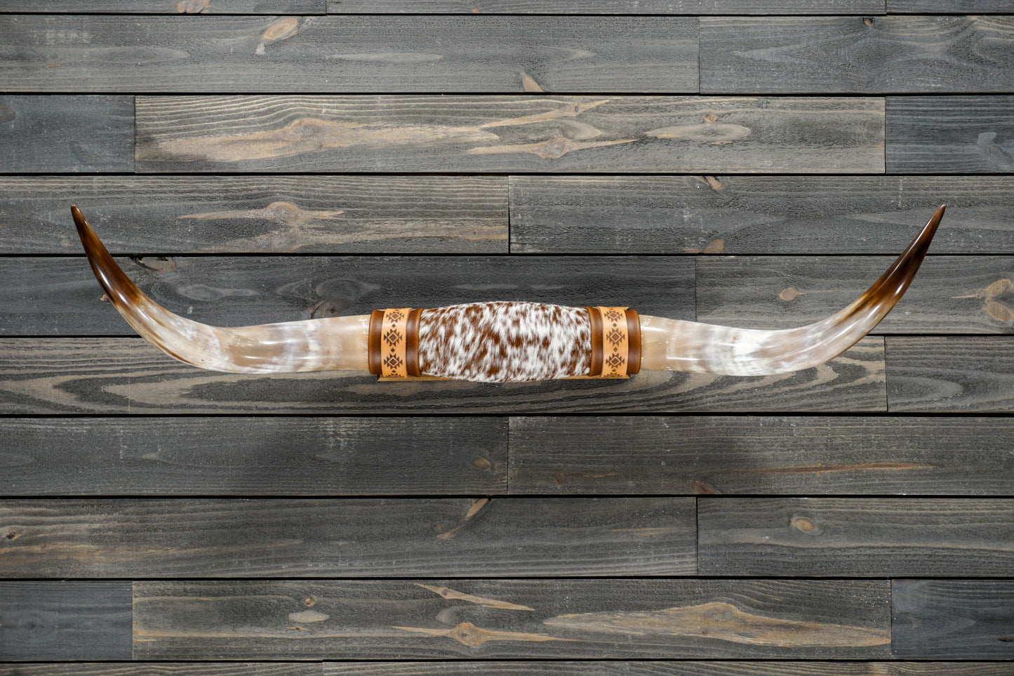 4' 2" Longhorn Wall Mount #285