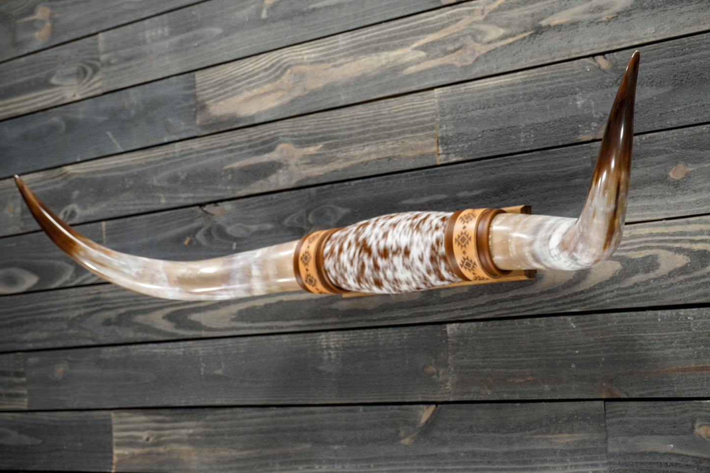 4' 2" Longhorn Wall Mount #285
