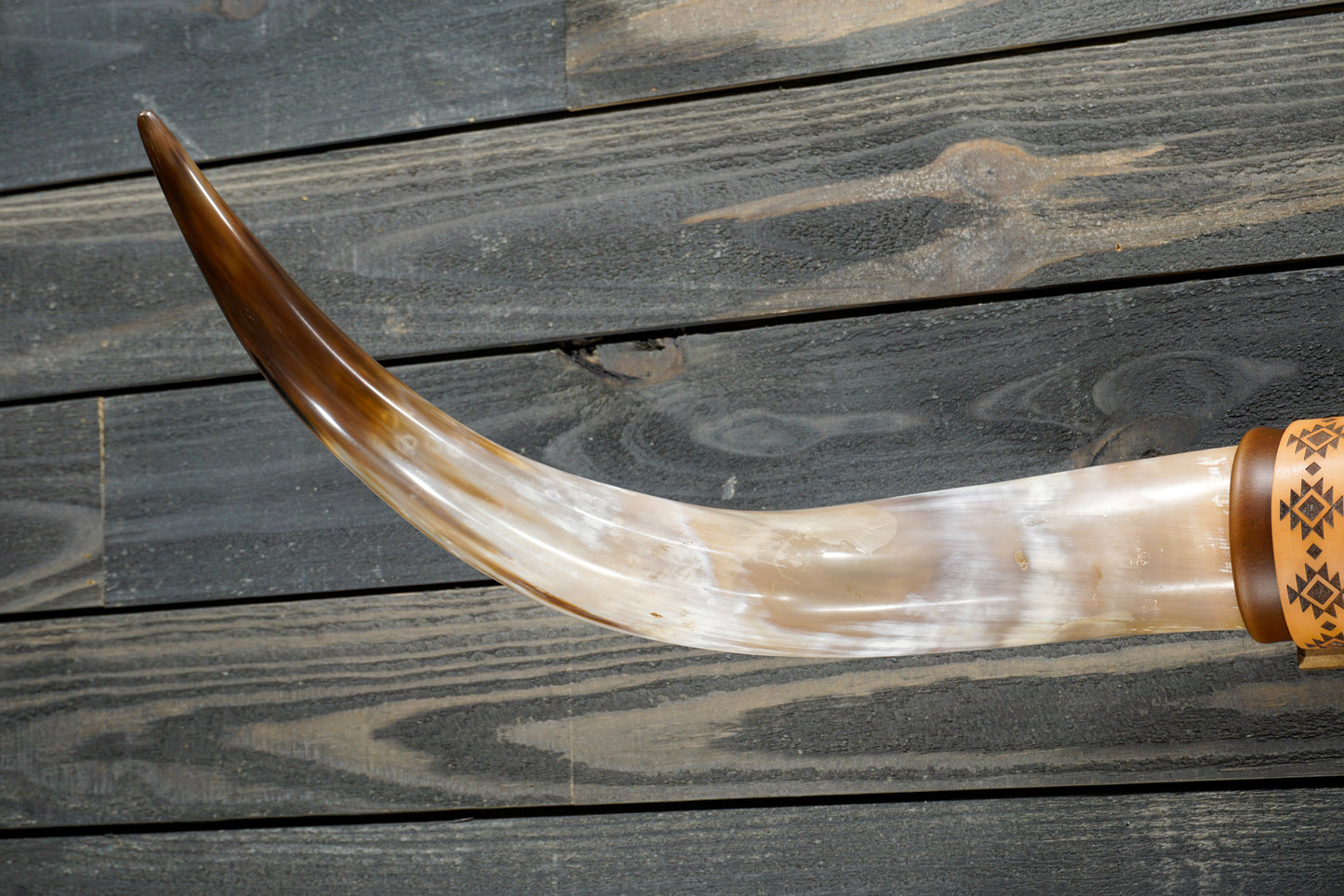 4' 2" Longhorn Wall Mount #285